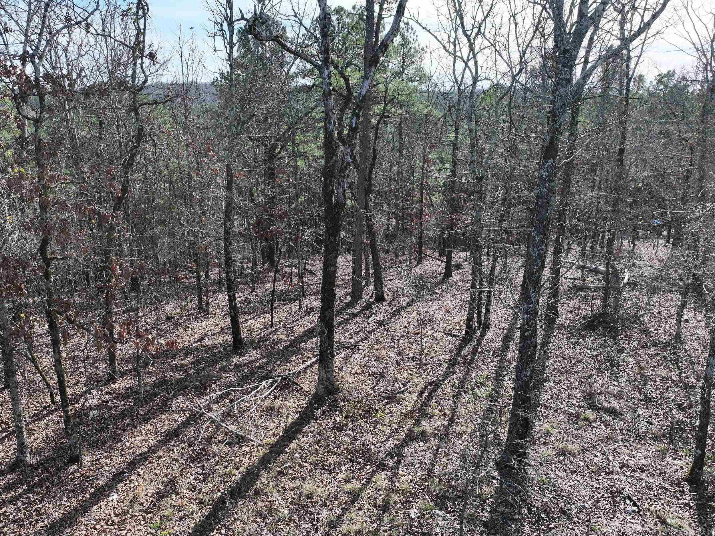 3373 Highway 347 Property Photo 2