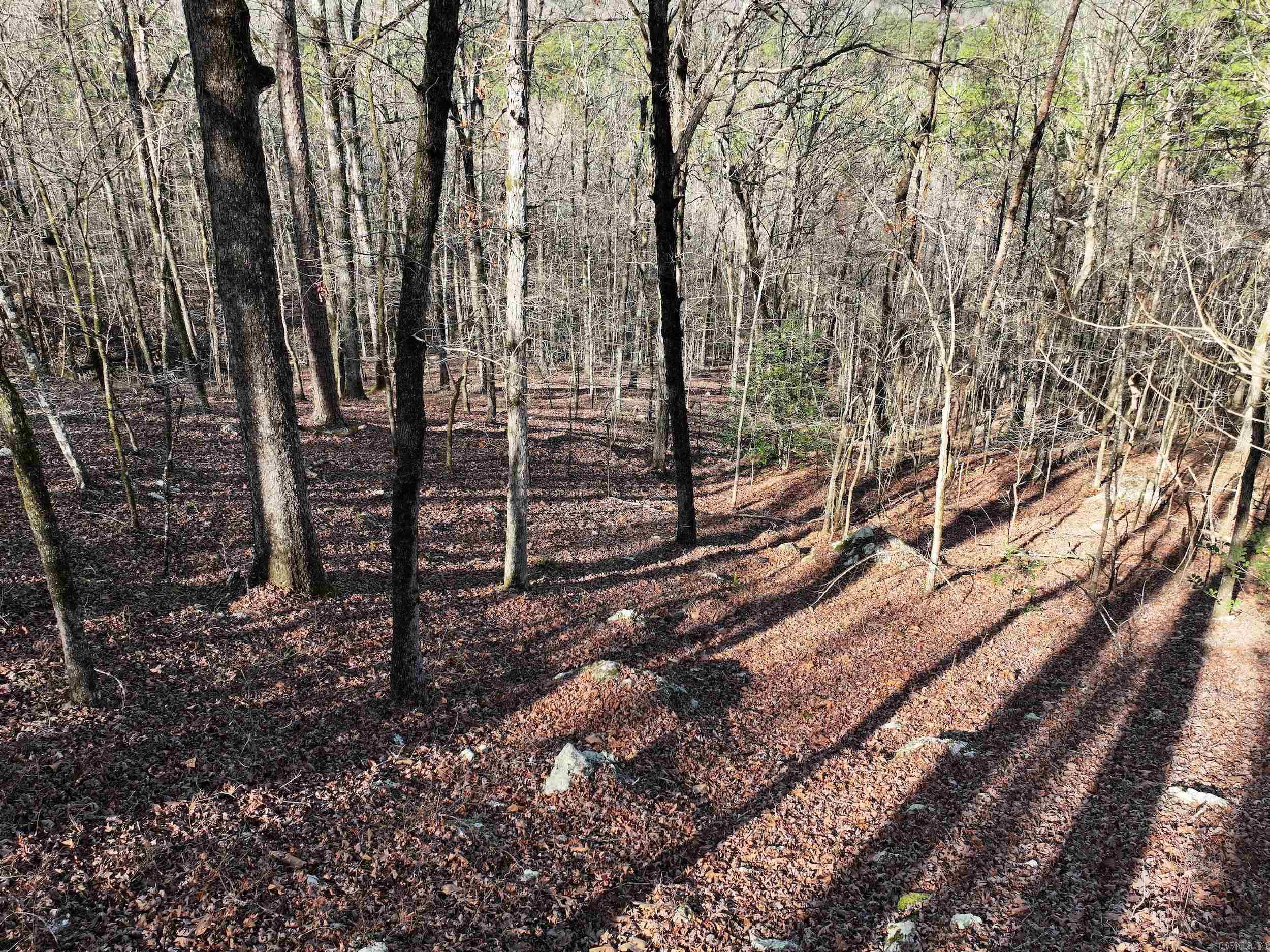 3373 Highway 347 Property Photo 4