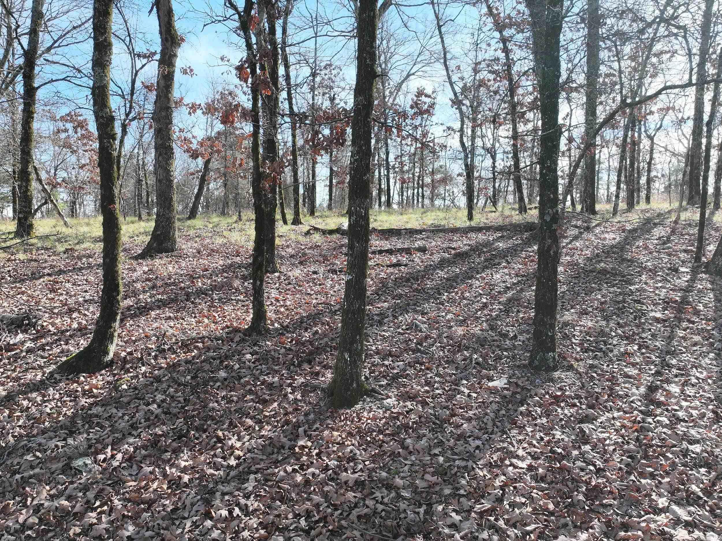 3373 Highway 347 Property Photo 9