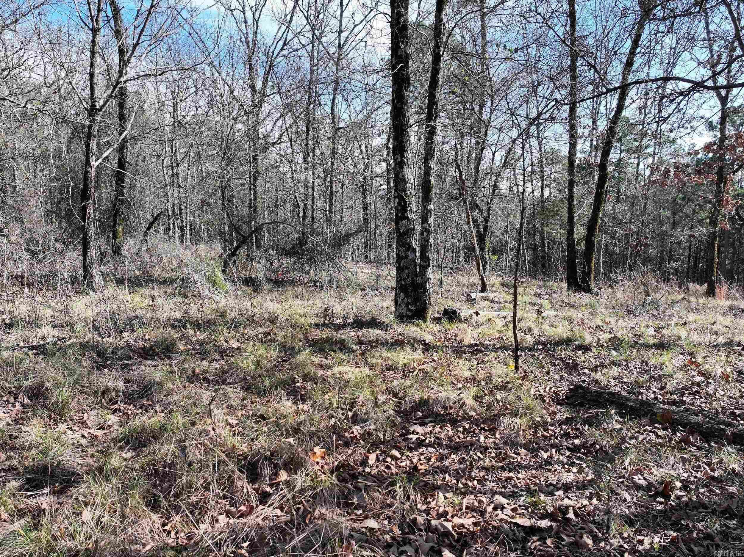 3373 Highway 347 Property Photo 13