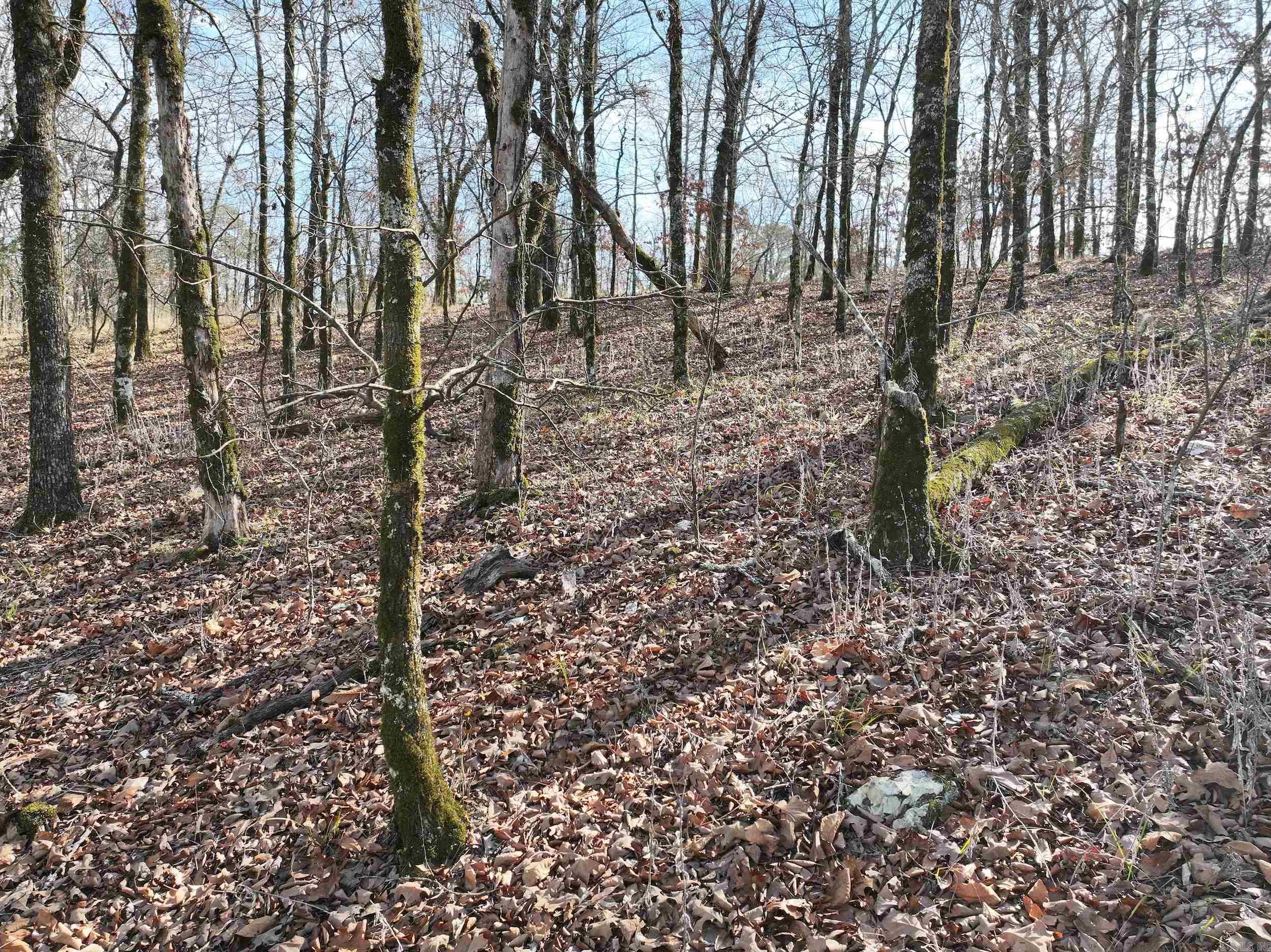 3373 Highway 347 Property Photo 19