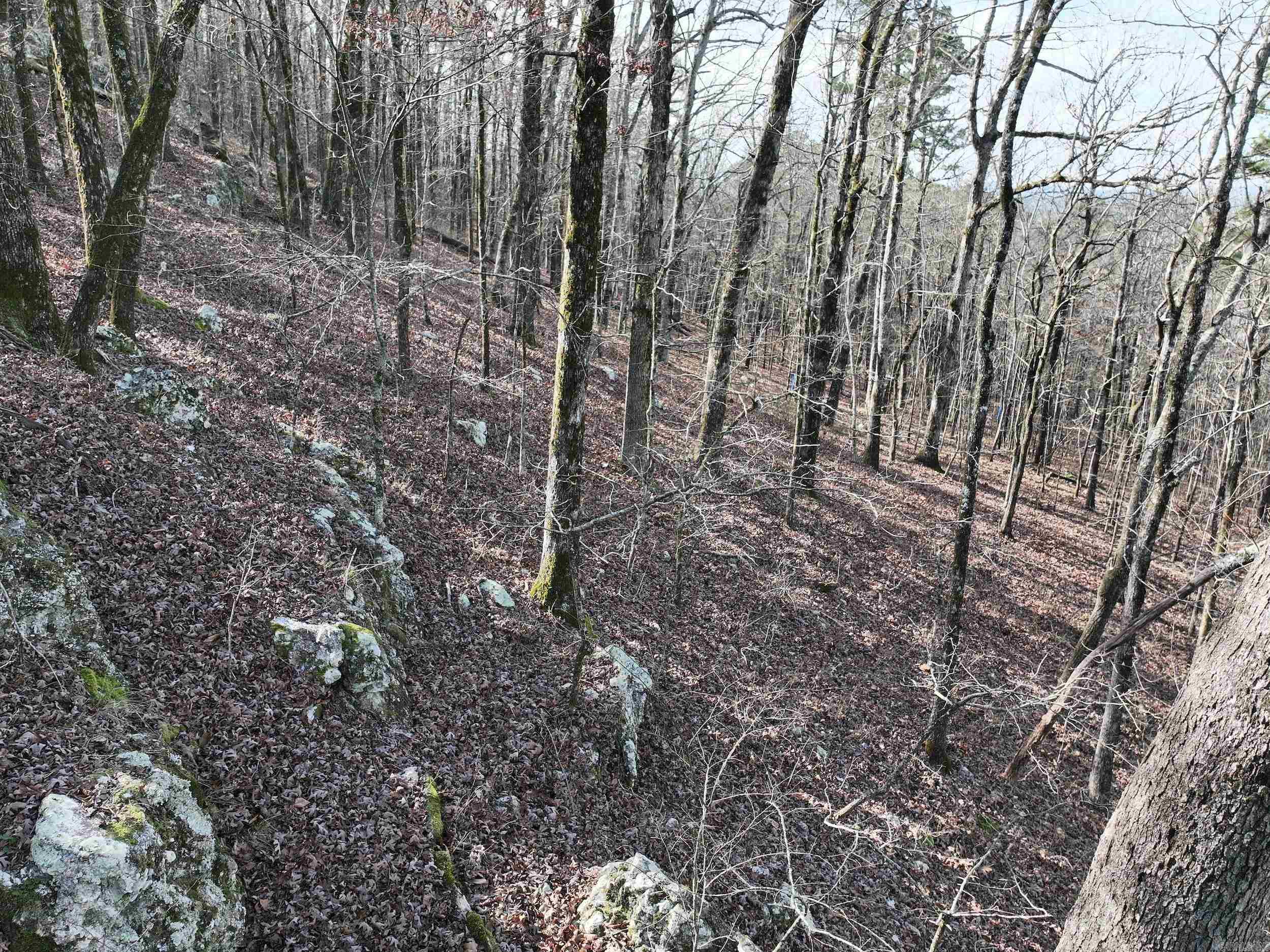 3373 Highway 347 Property Photo 22