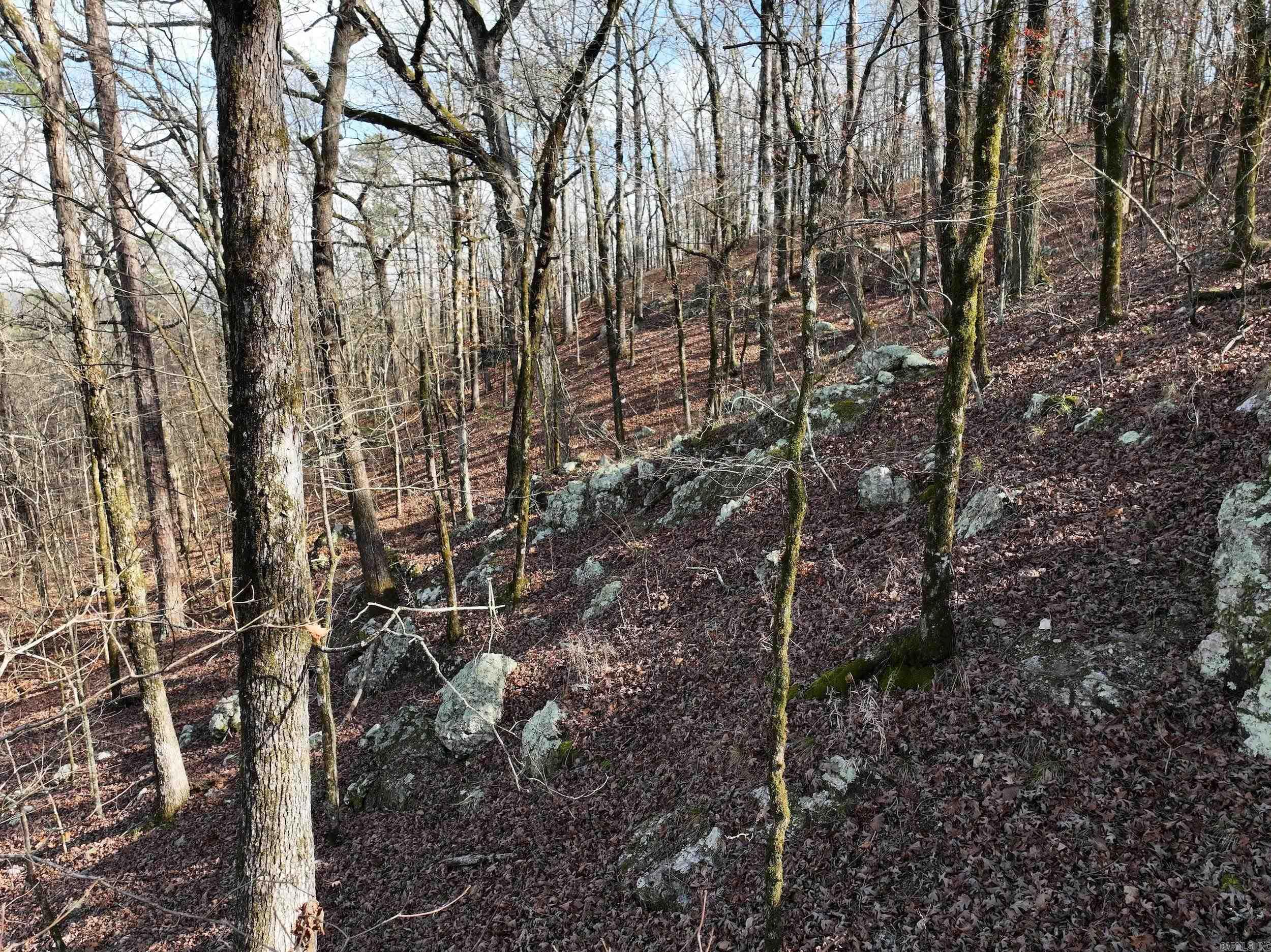3373 Highway 347 Property Photo 23