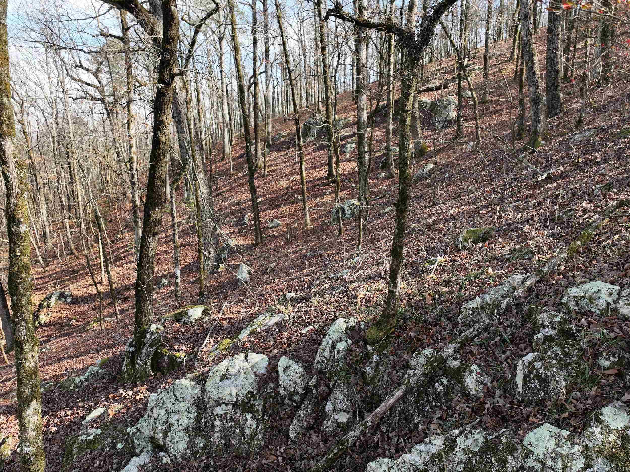 3373 Highway 347 Property Photo 24