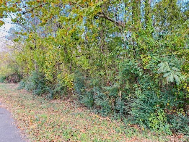 Unk Maple Street Property Photo 1