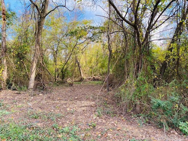 Unk Maple Street Property Photo 2
