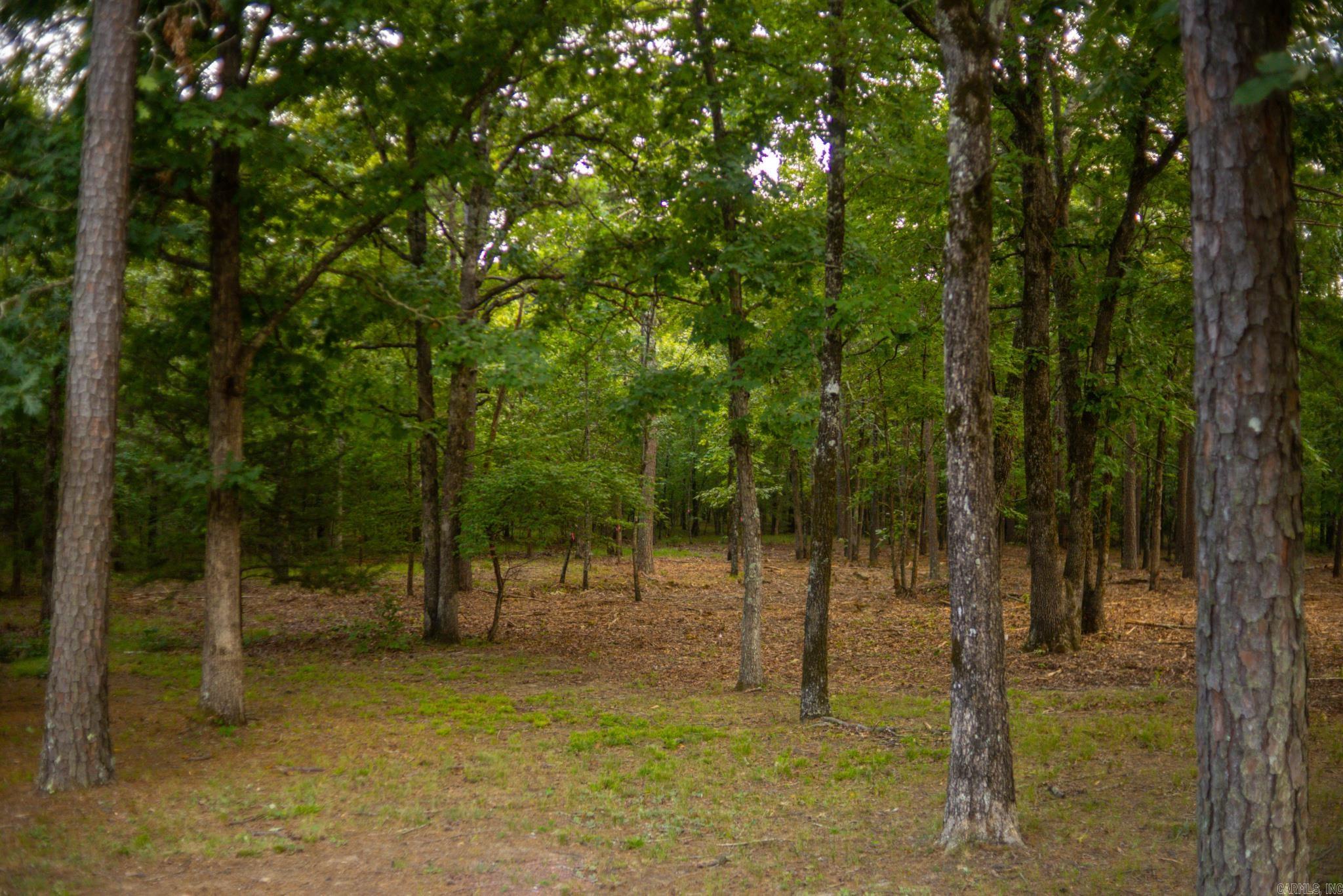 4193 Brewer Road Property Photo 23