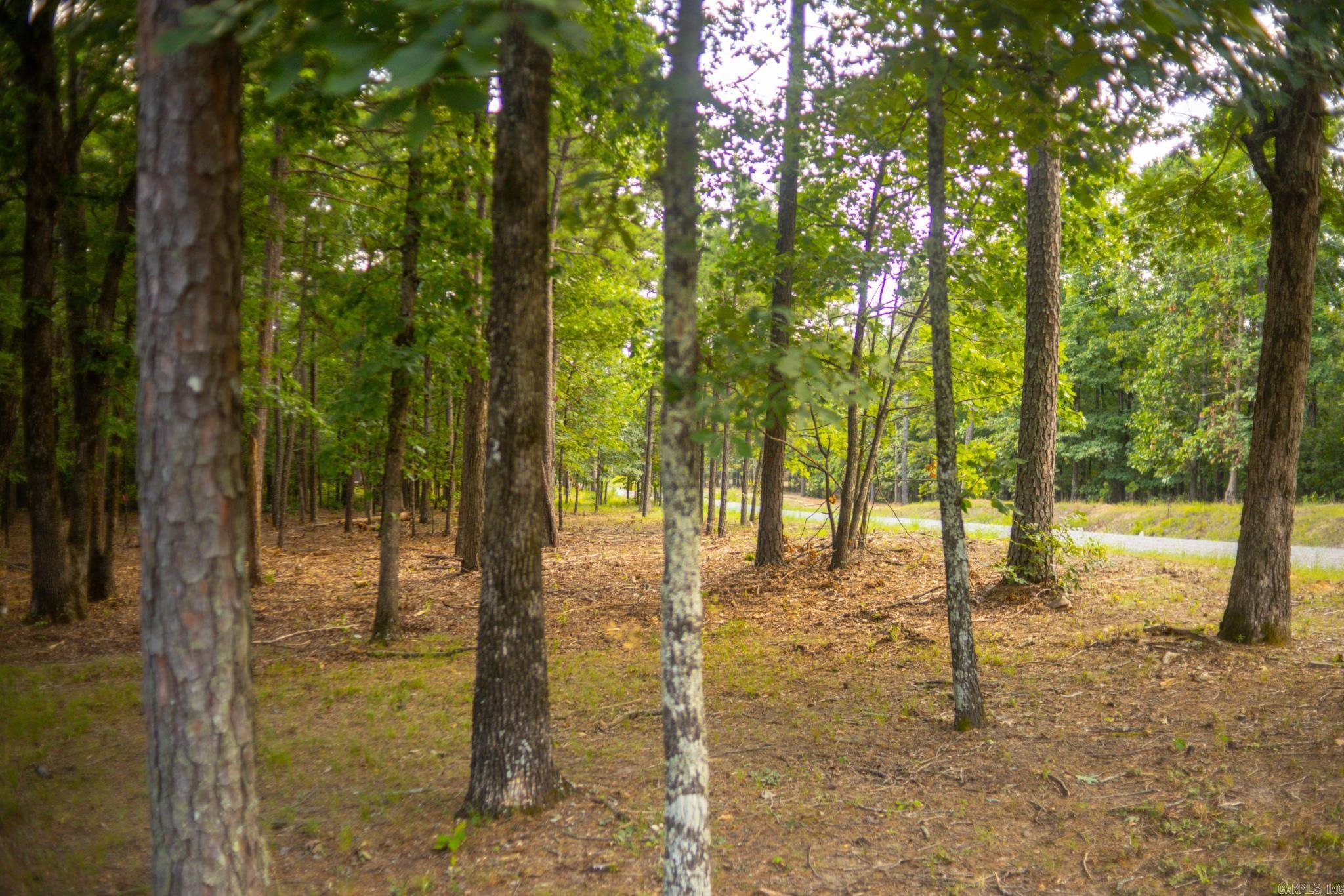 4193 Brewer Road Property Photo 24