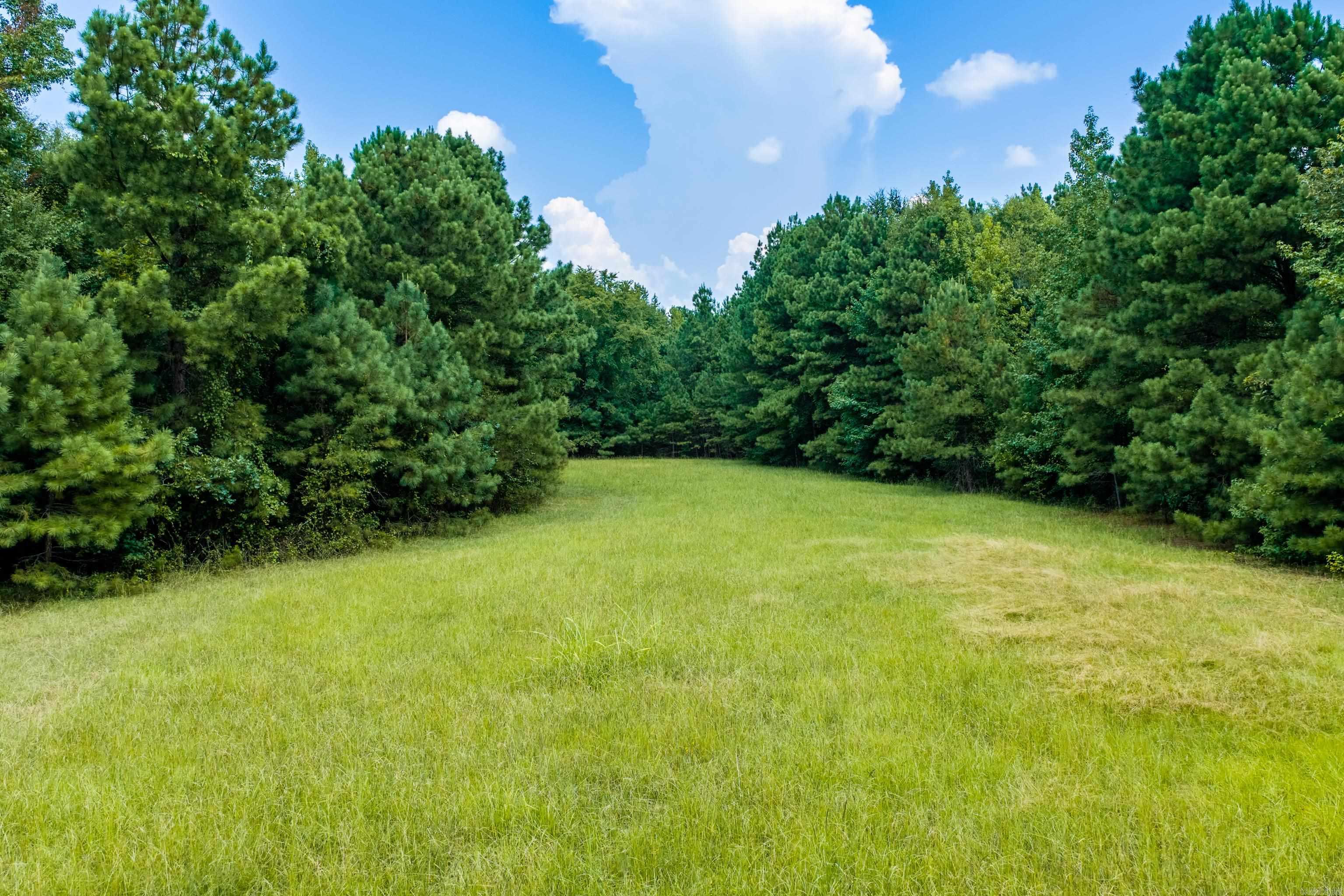 Tbd Church Road Property Photo 13