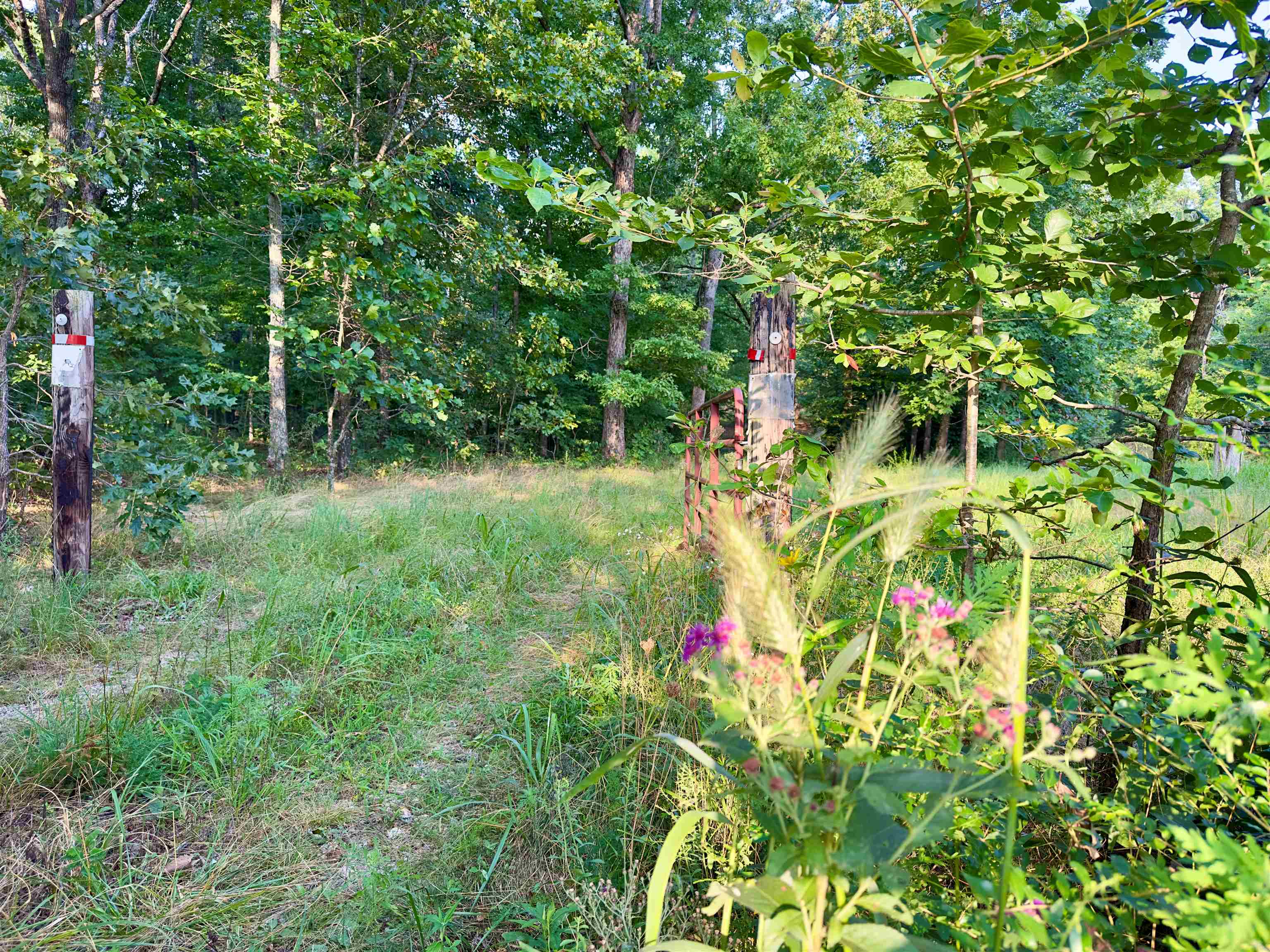 464 Acres Road Property Photo 13