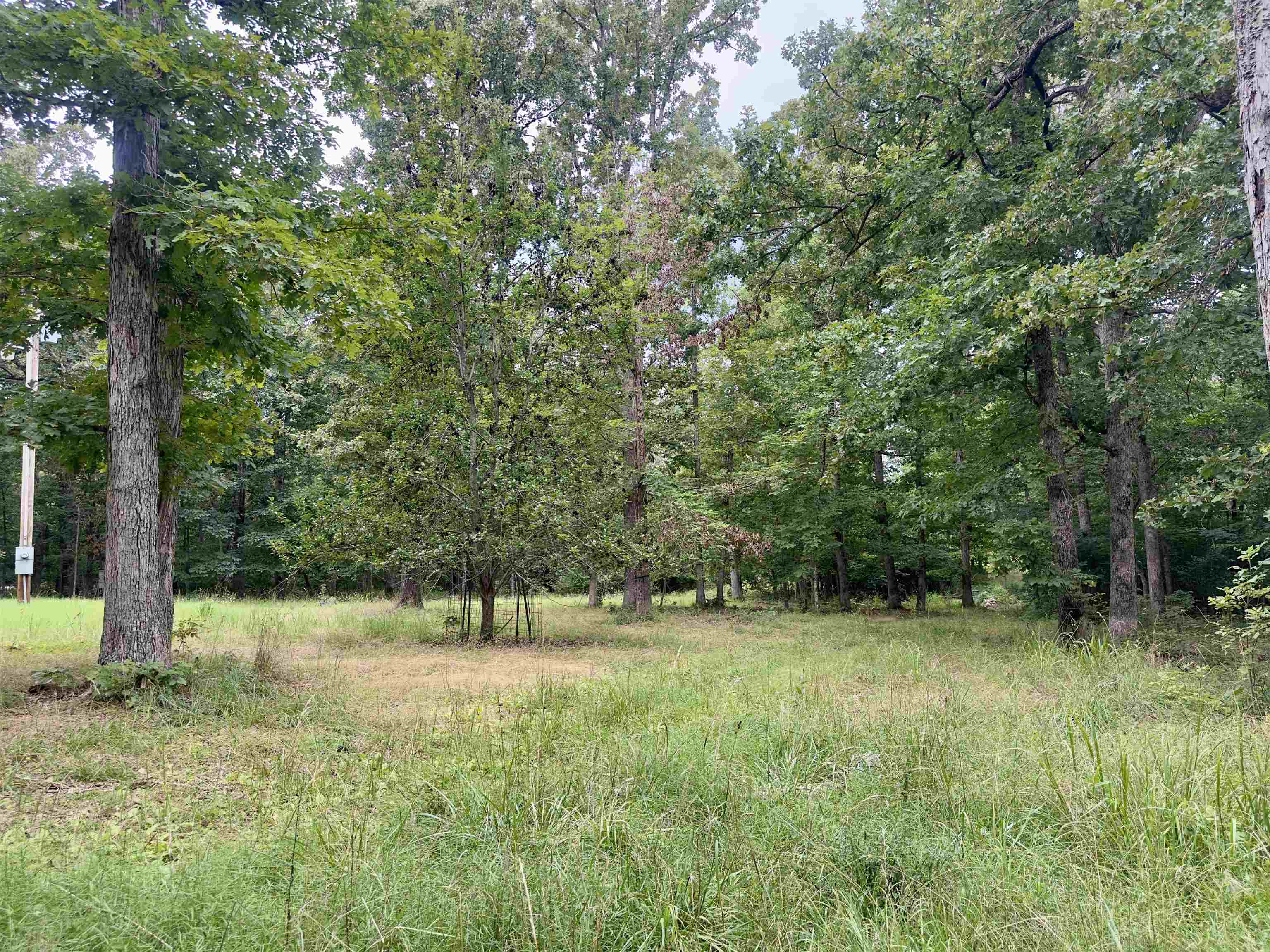 464 Acres Road Property Photo 16