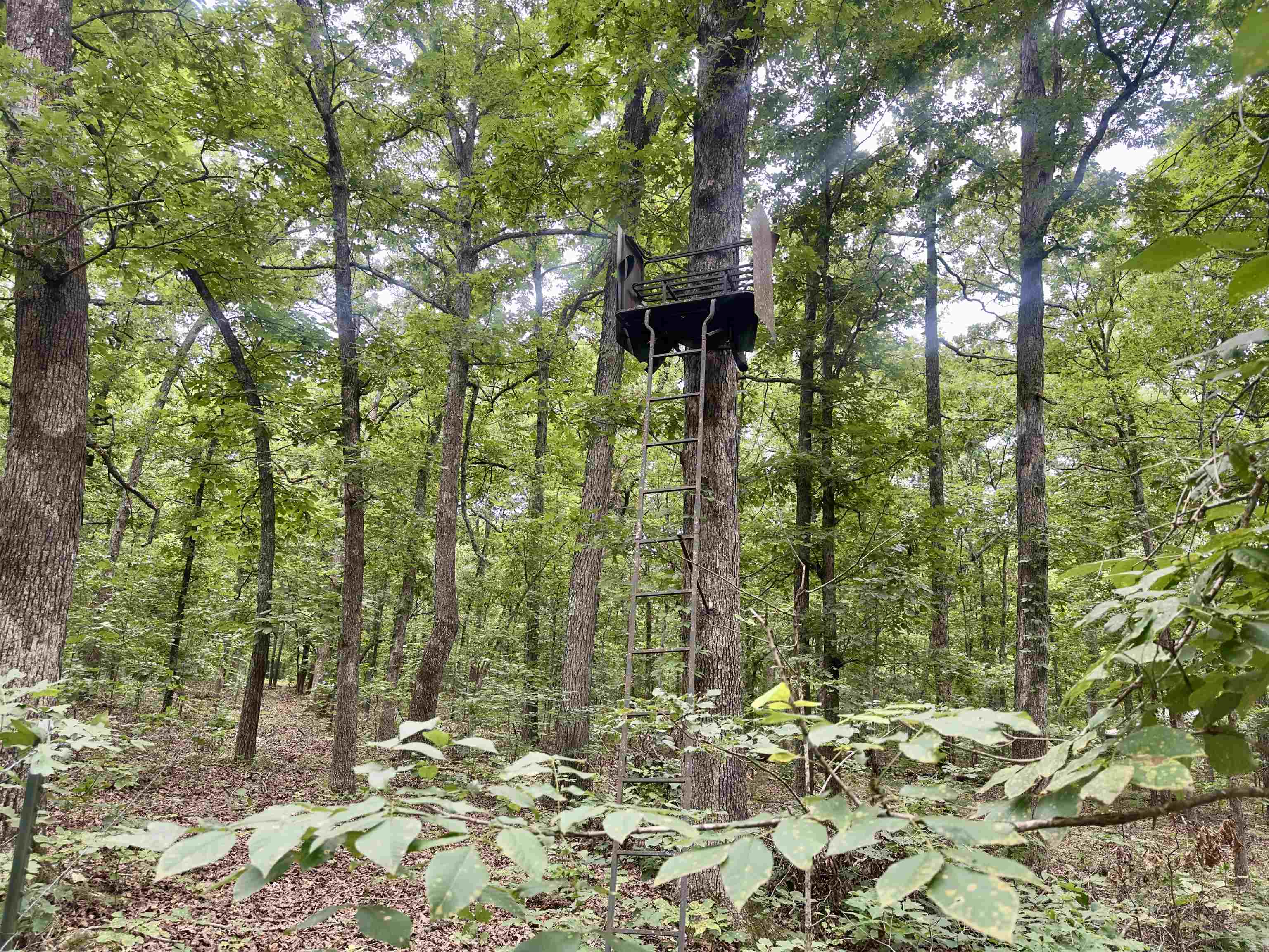 464 Acres Road Property Photo 18
