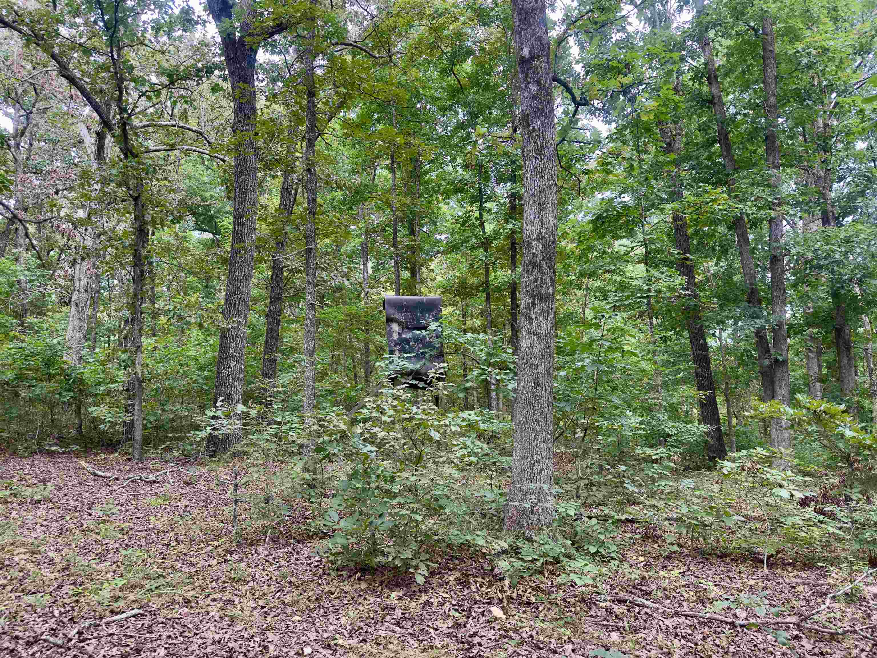 464 Acres Road Property Photo 19