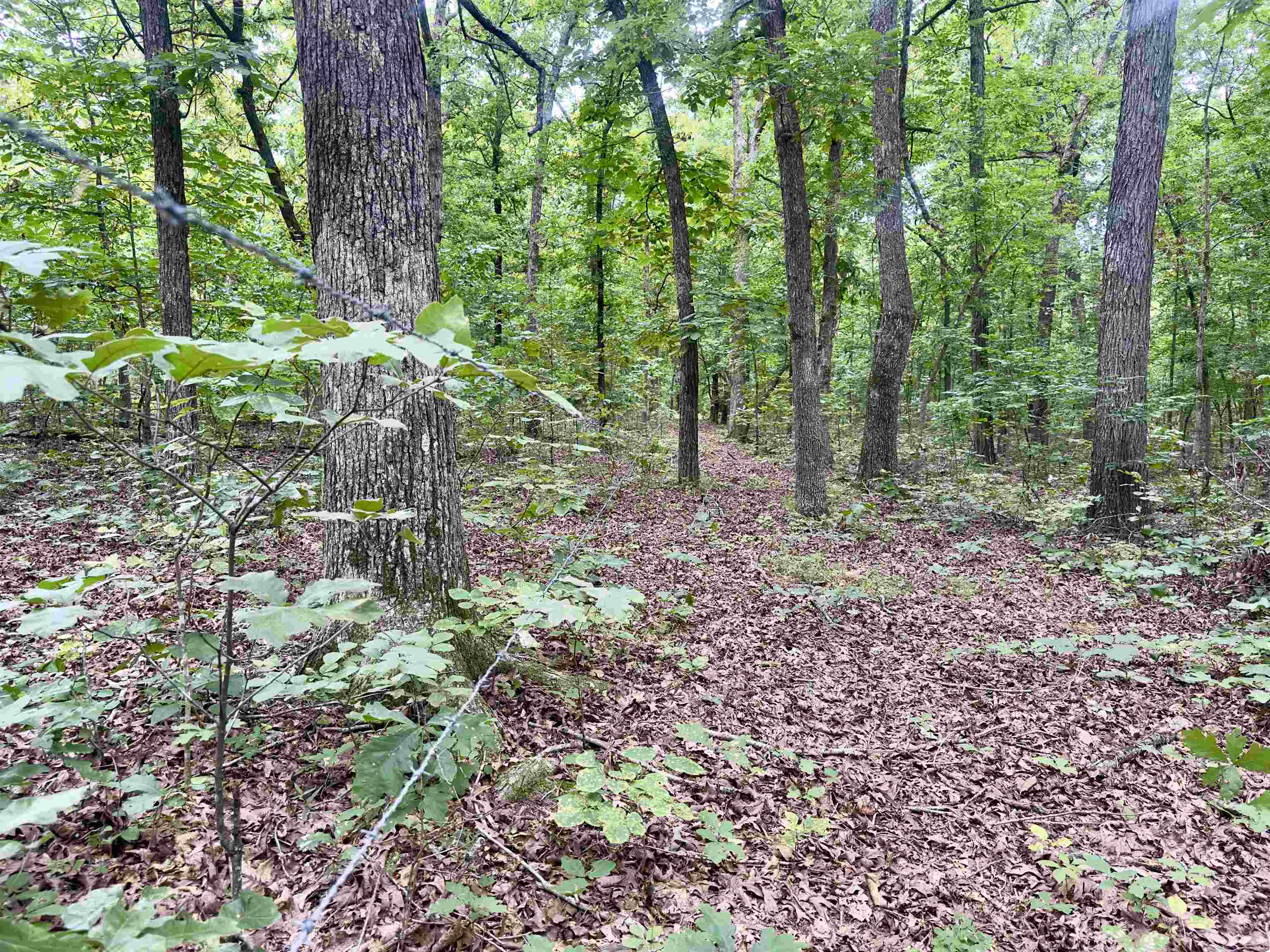 464 Acres Road Property Photo 20