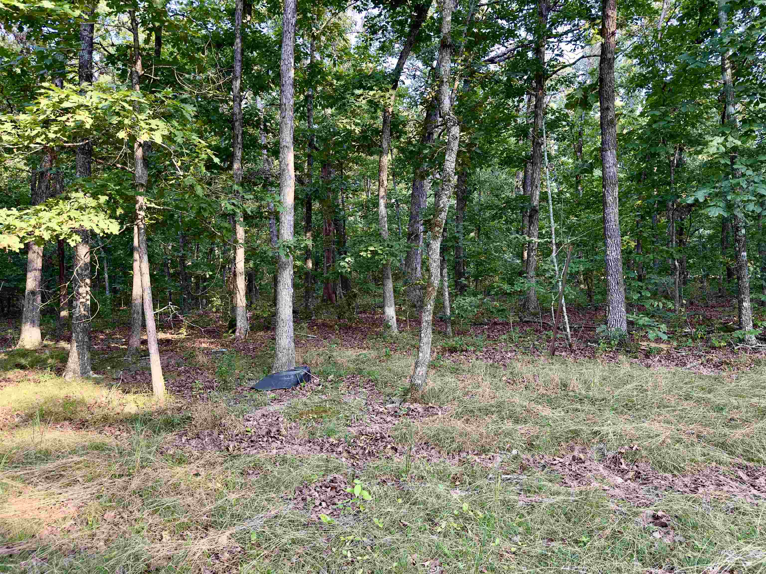 464 Acres Road Property Photo 21
