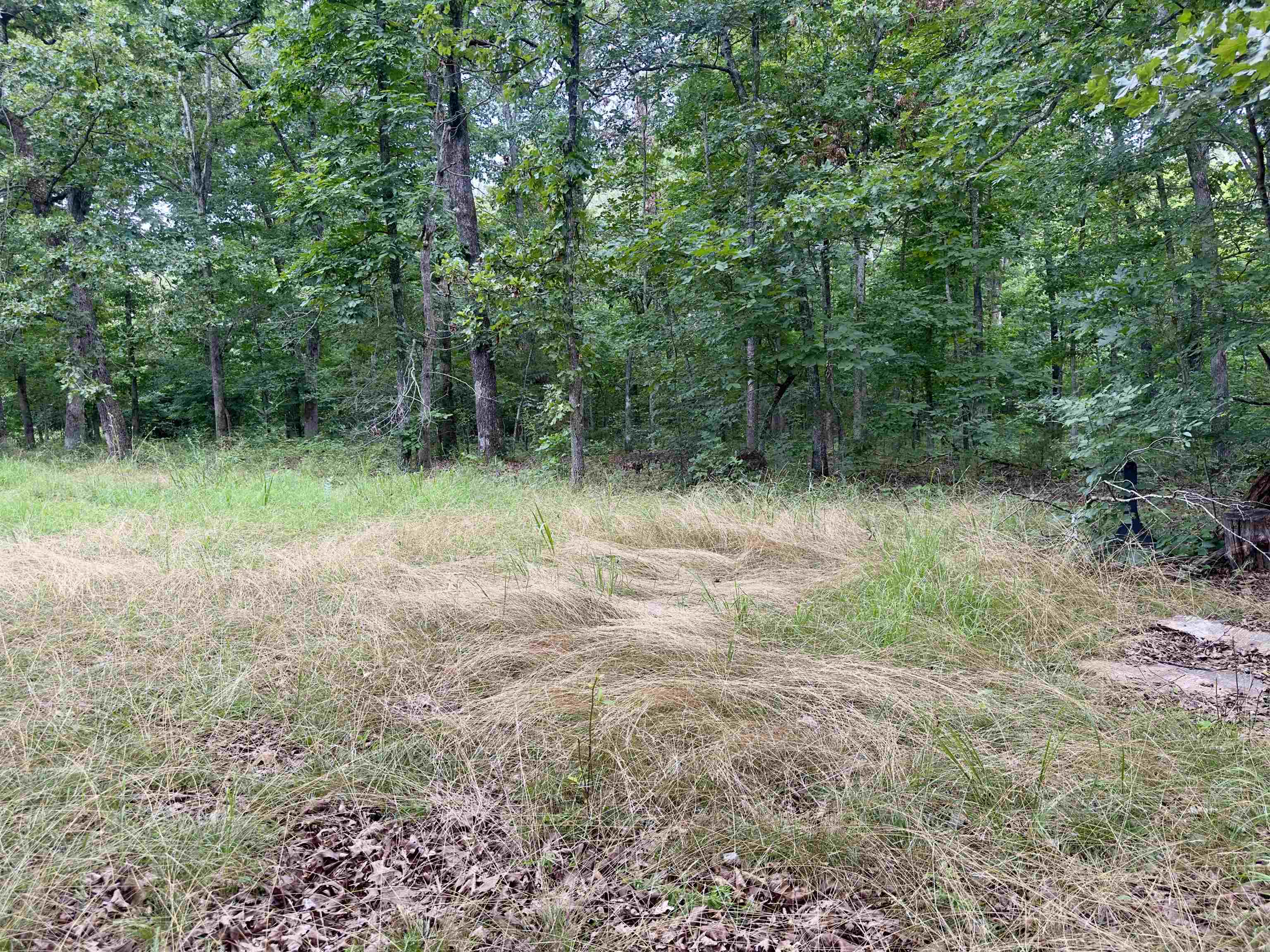 464 Acres Road Property Photo 22