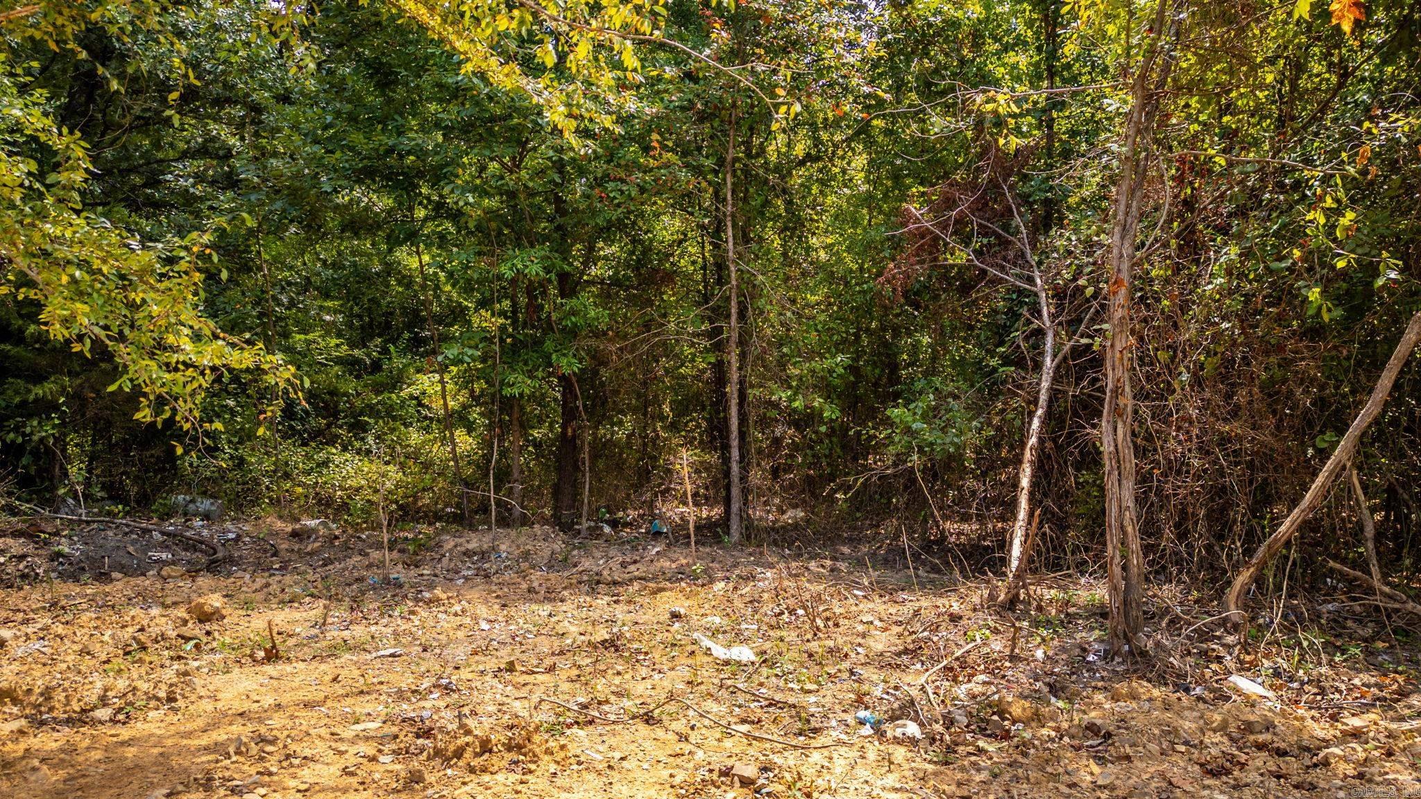 29 Audubon Property Photo 6