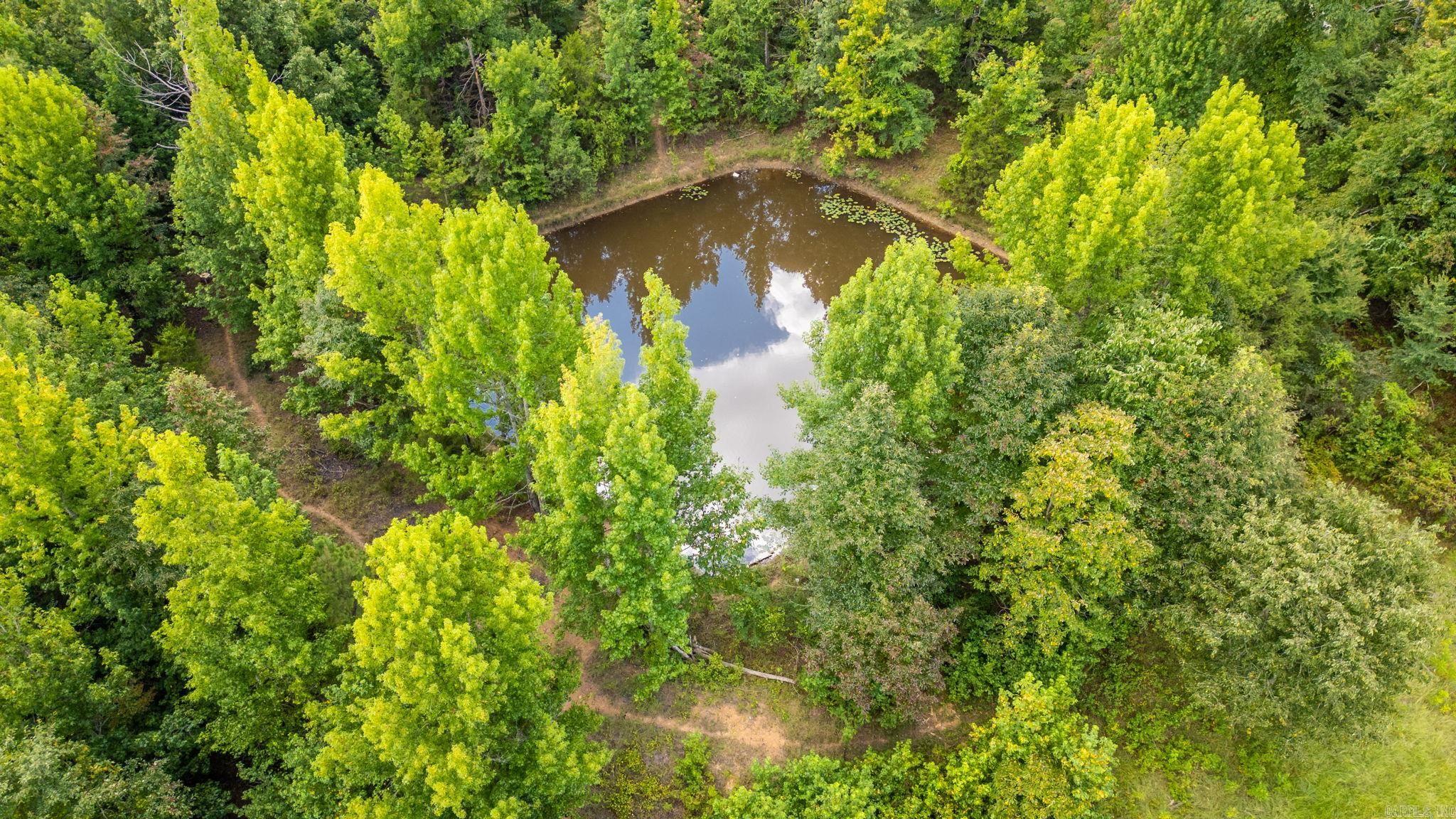 29 Audubon Property Photo 16