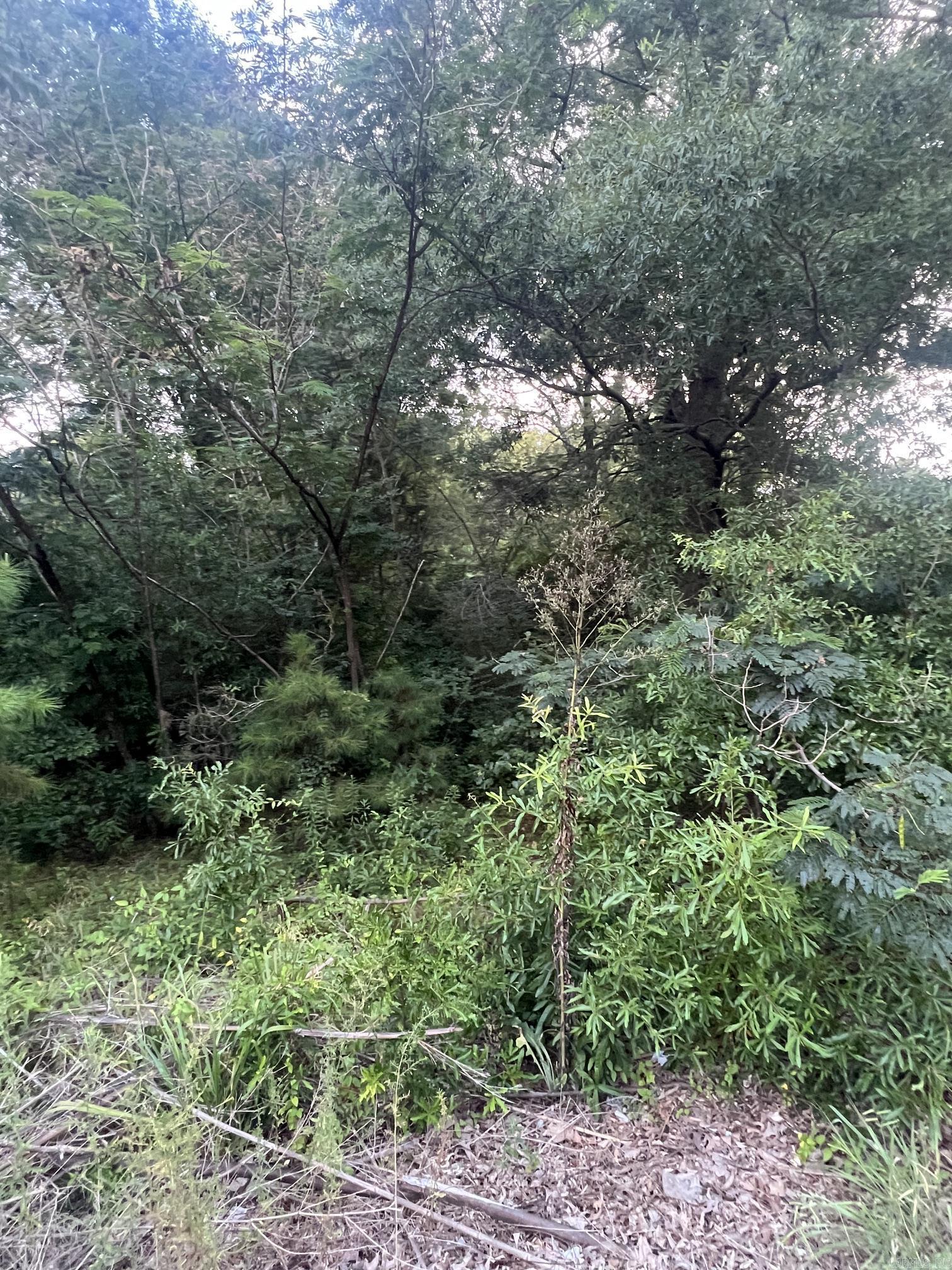 7402 Mabelvale Cut-off Property Photo 3