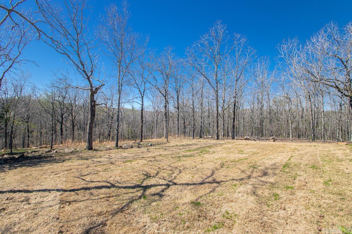 921 Conrad Cove Property Photo 25