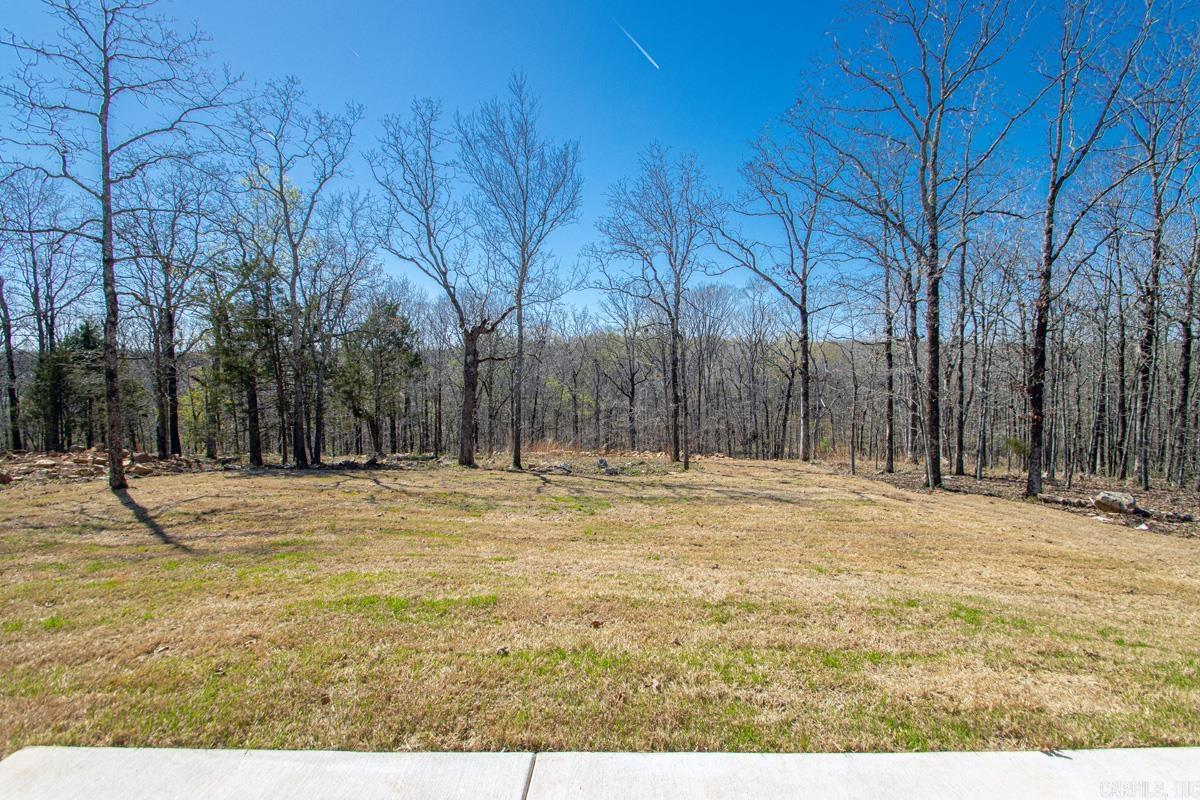 921 Conrad Cove Property Photo 31