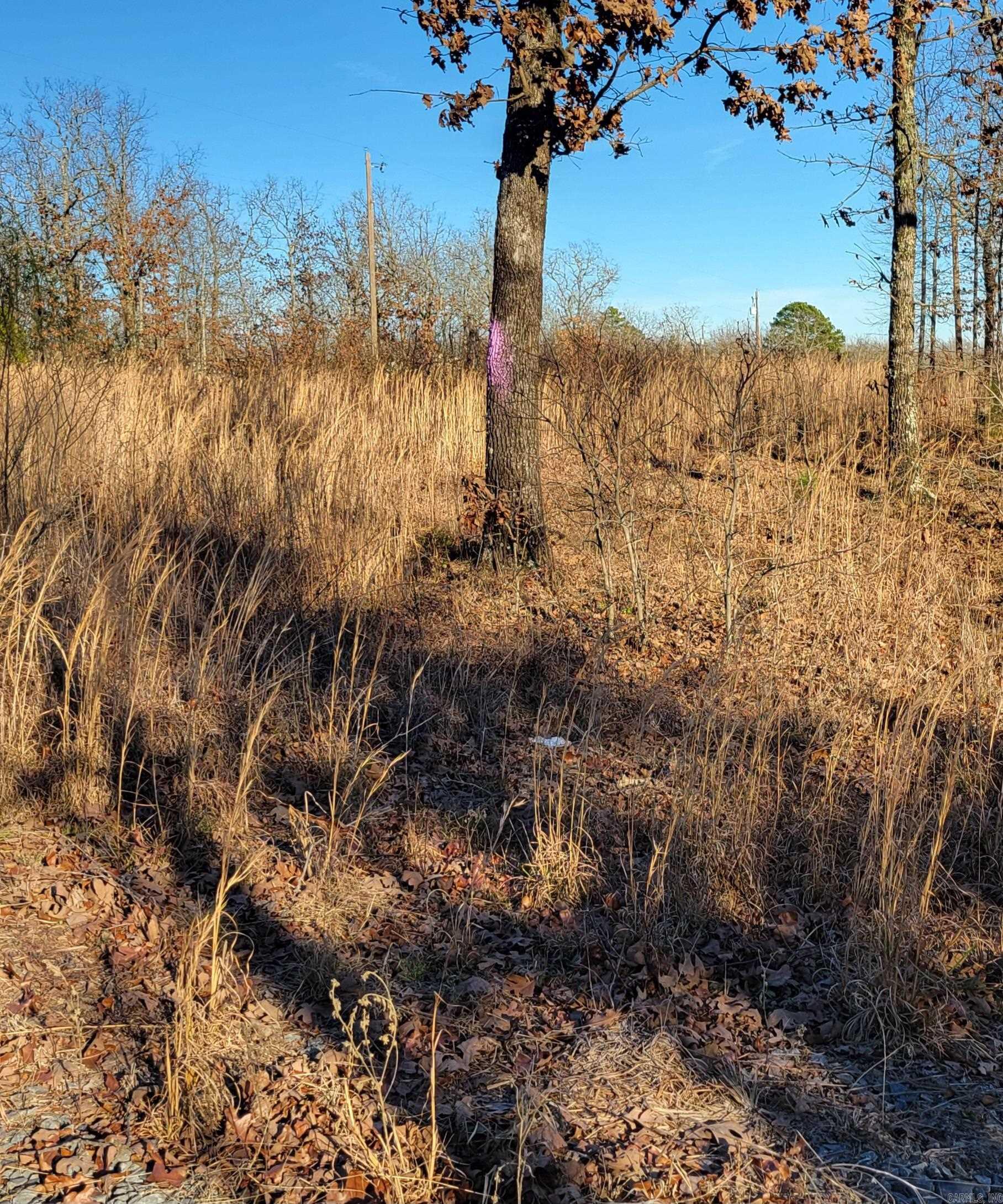 19 Manna Lane Property Photo 17