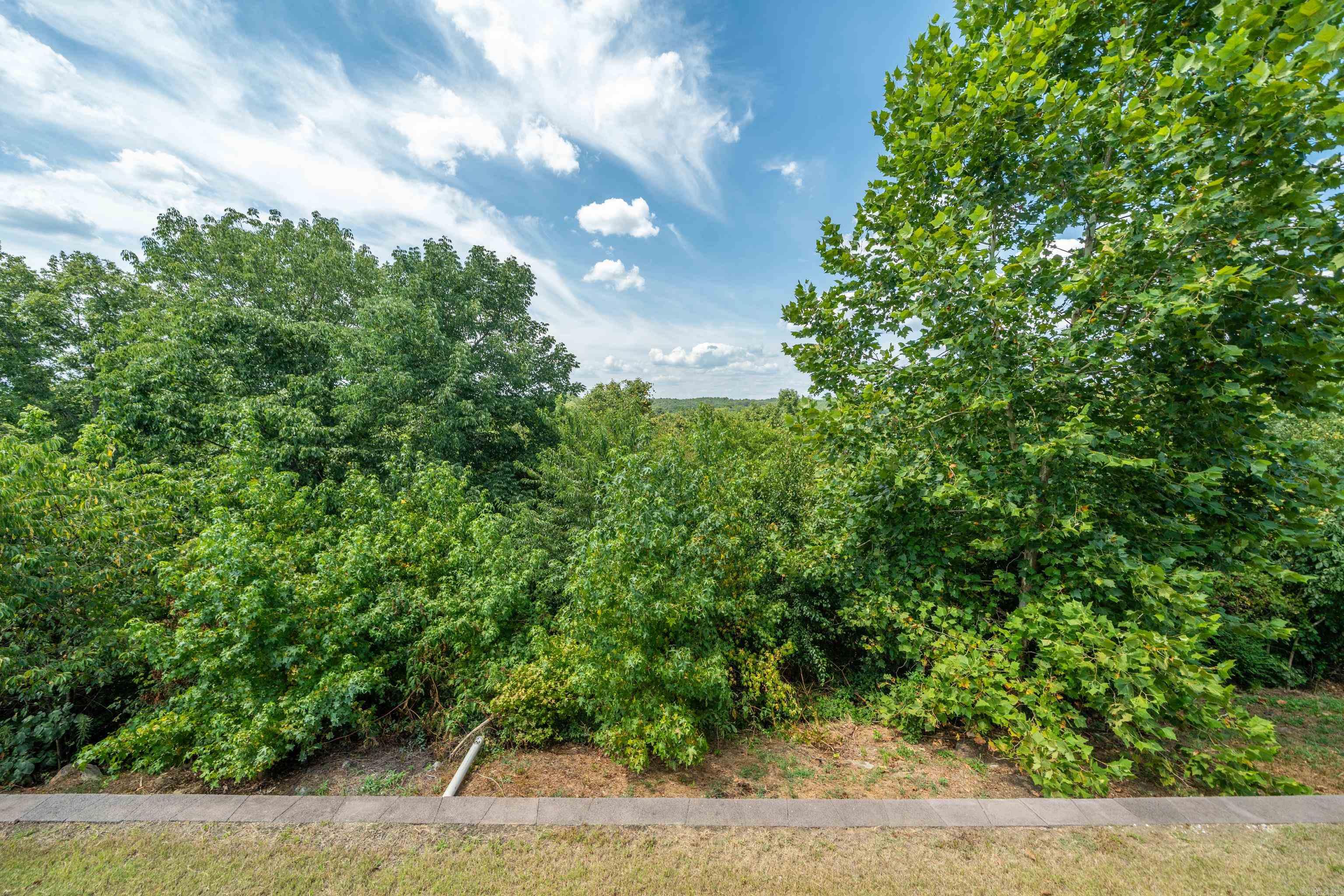 324 Coachlight Road Property Photo 47