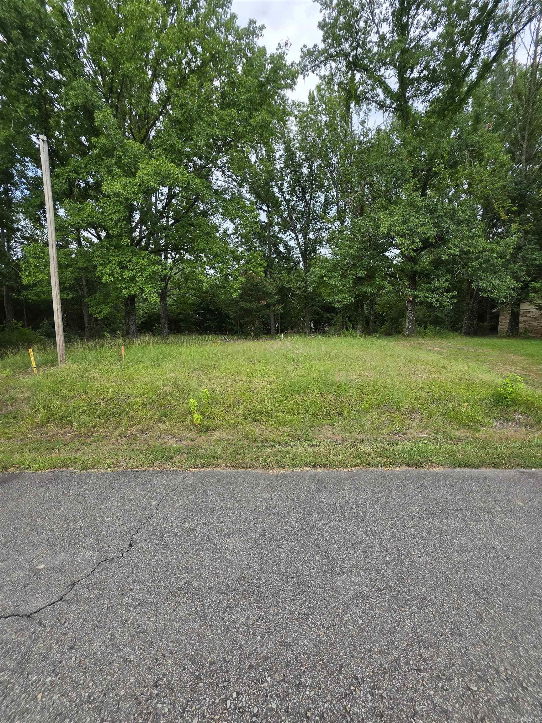 Lot 19 Doniphan Property Photo 2