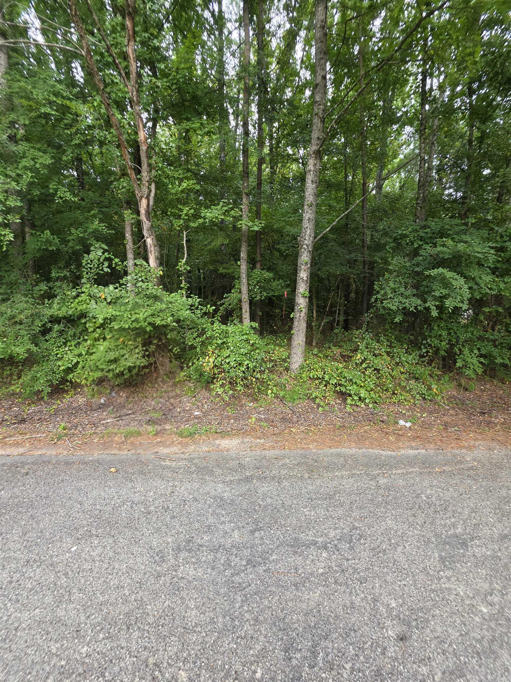 Lot 13 Doniphan Property Photo 1