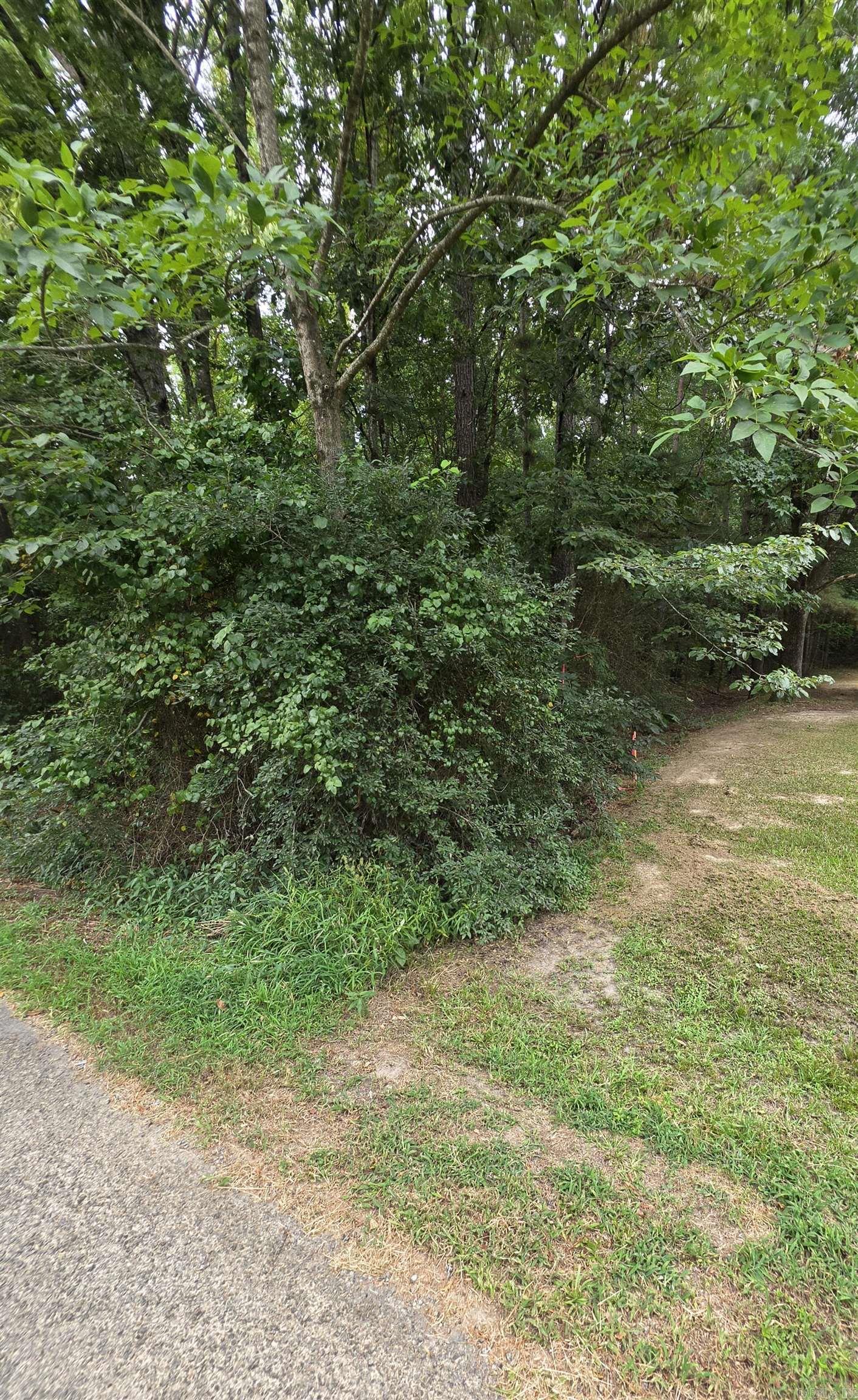 Lot 13 Doniphan Property Photo 2