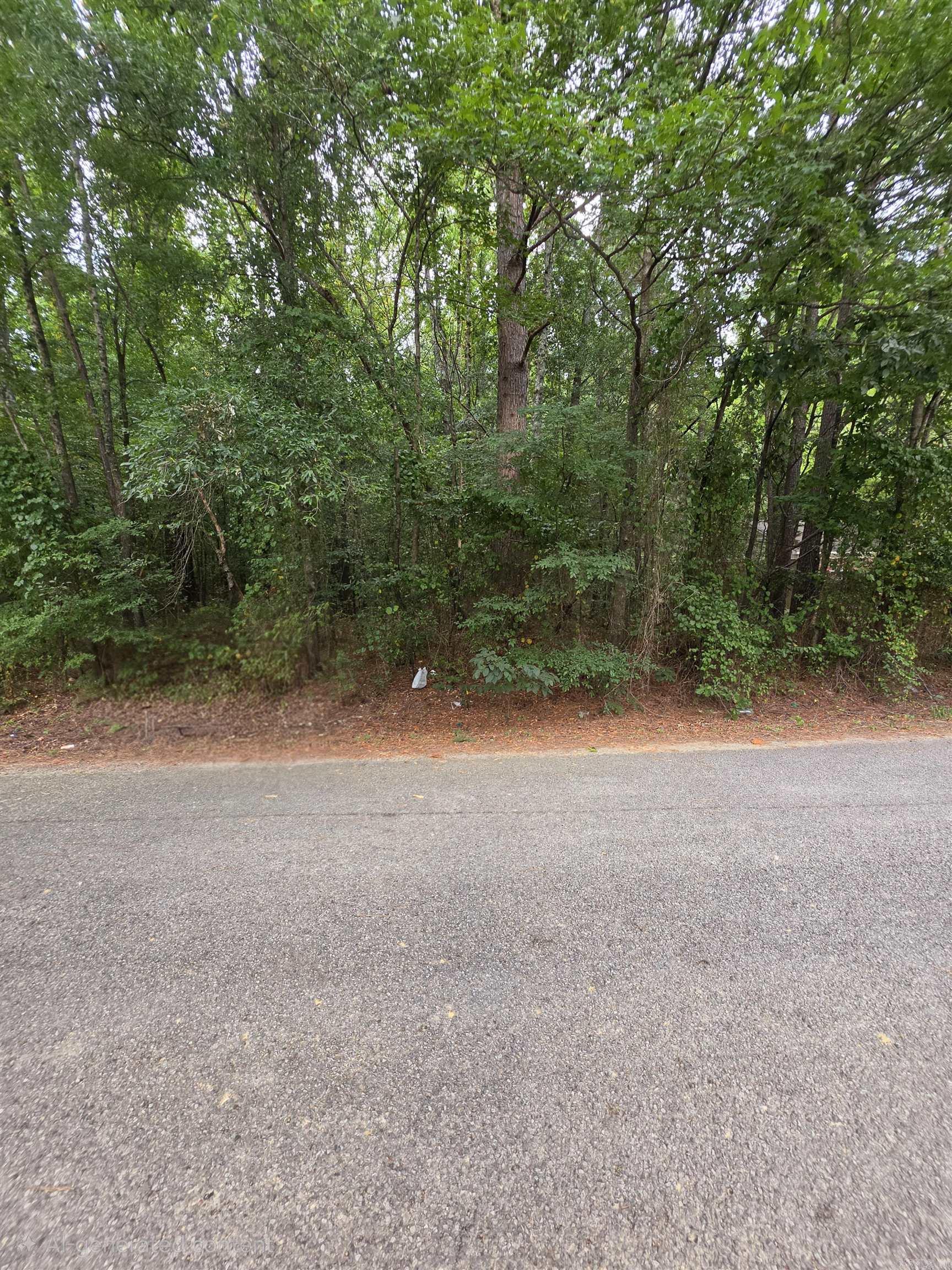 Lot 13 Doniphan Property Photo 3