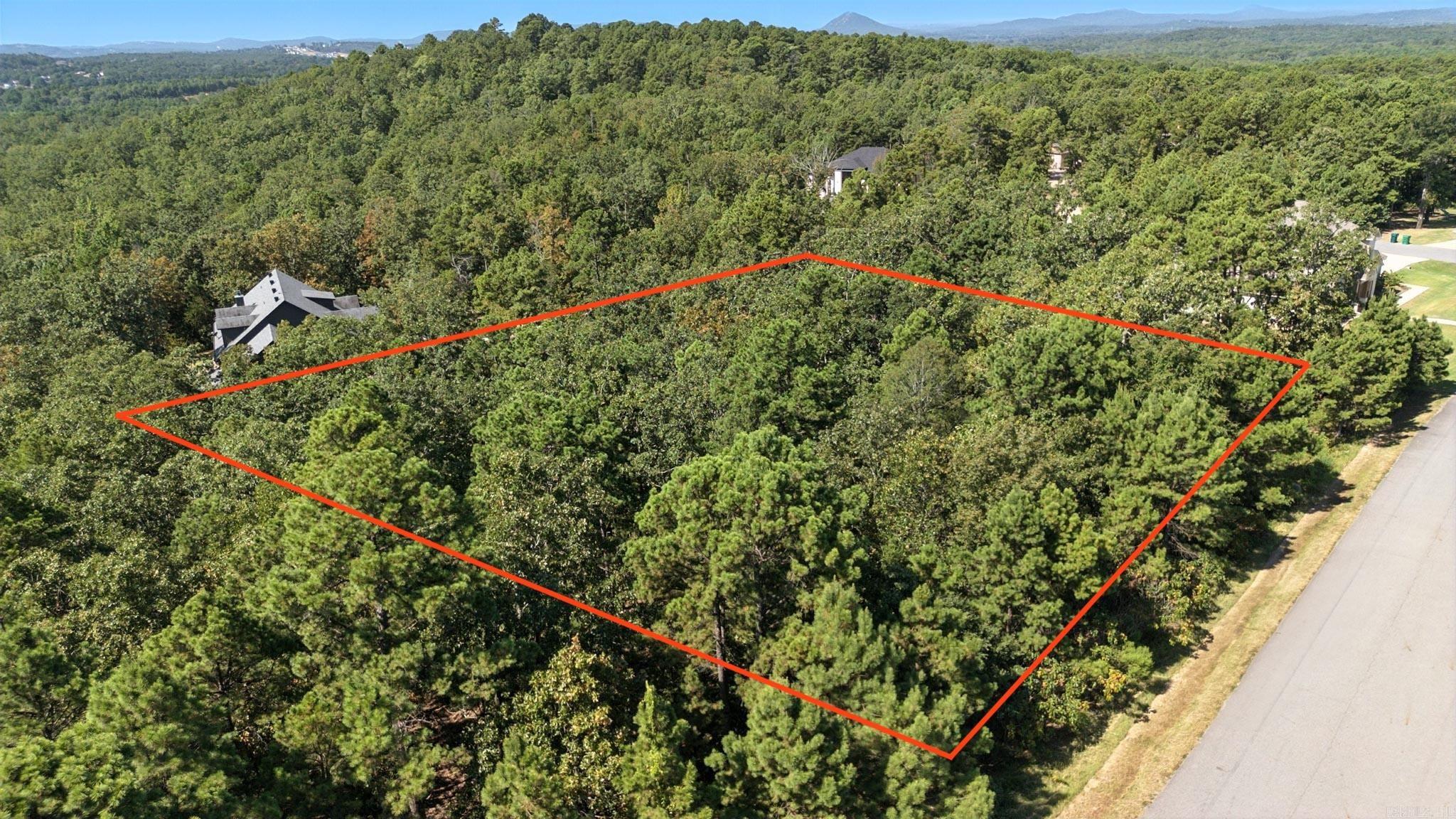 9911 Panther Mountain Road Property Photo 10