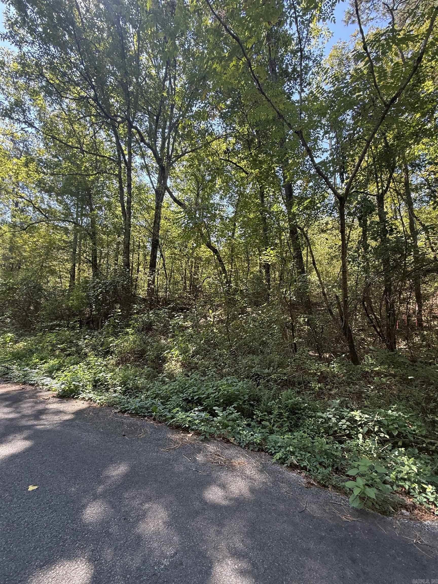 804 Highway 95 Property Photo 9
