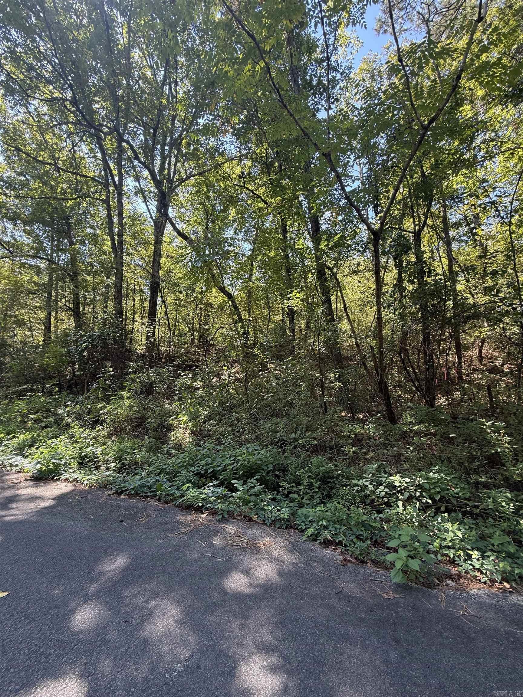 804 Highway 95 Property Photo 10