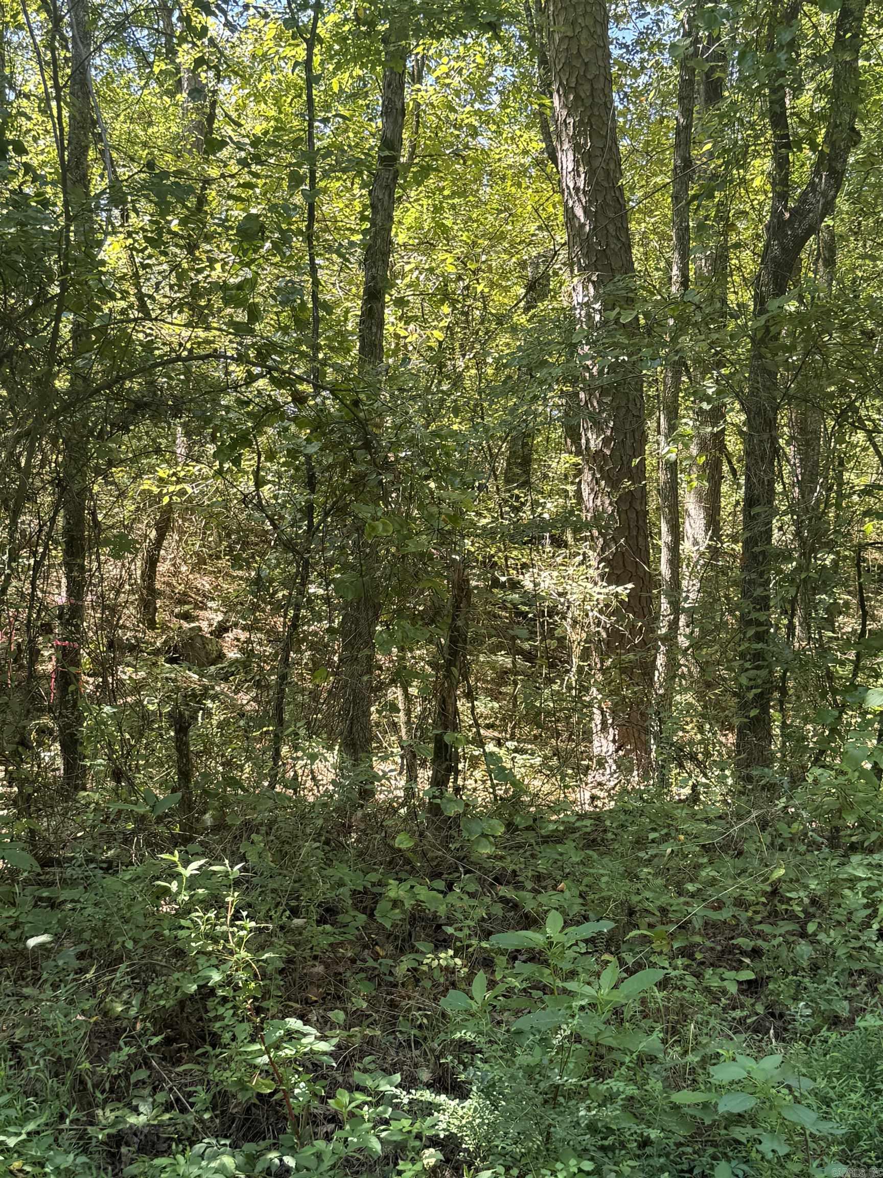 804 Highway 95 Property Photo 11