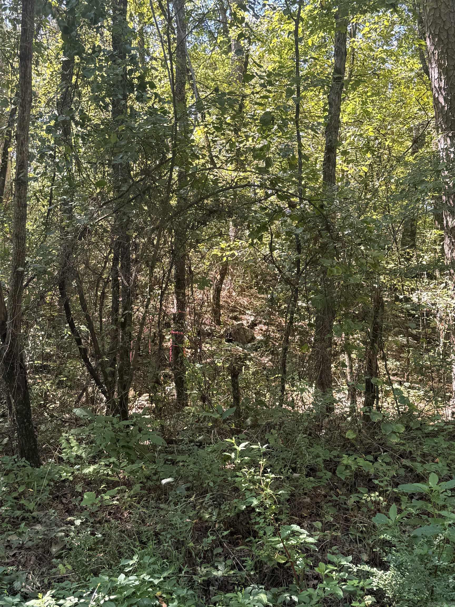 804 Highway 95 Property Photo 12