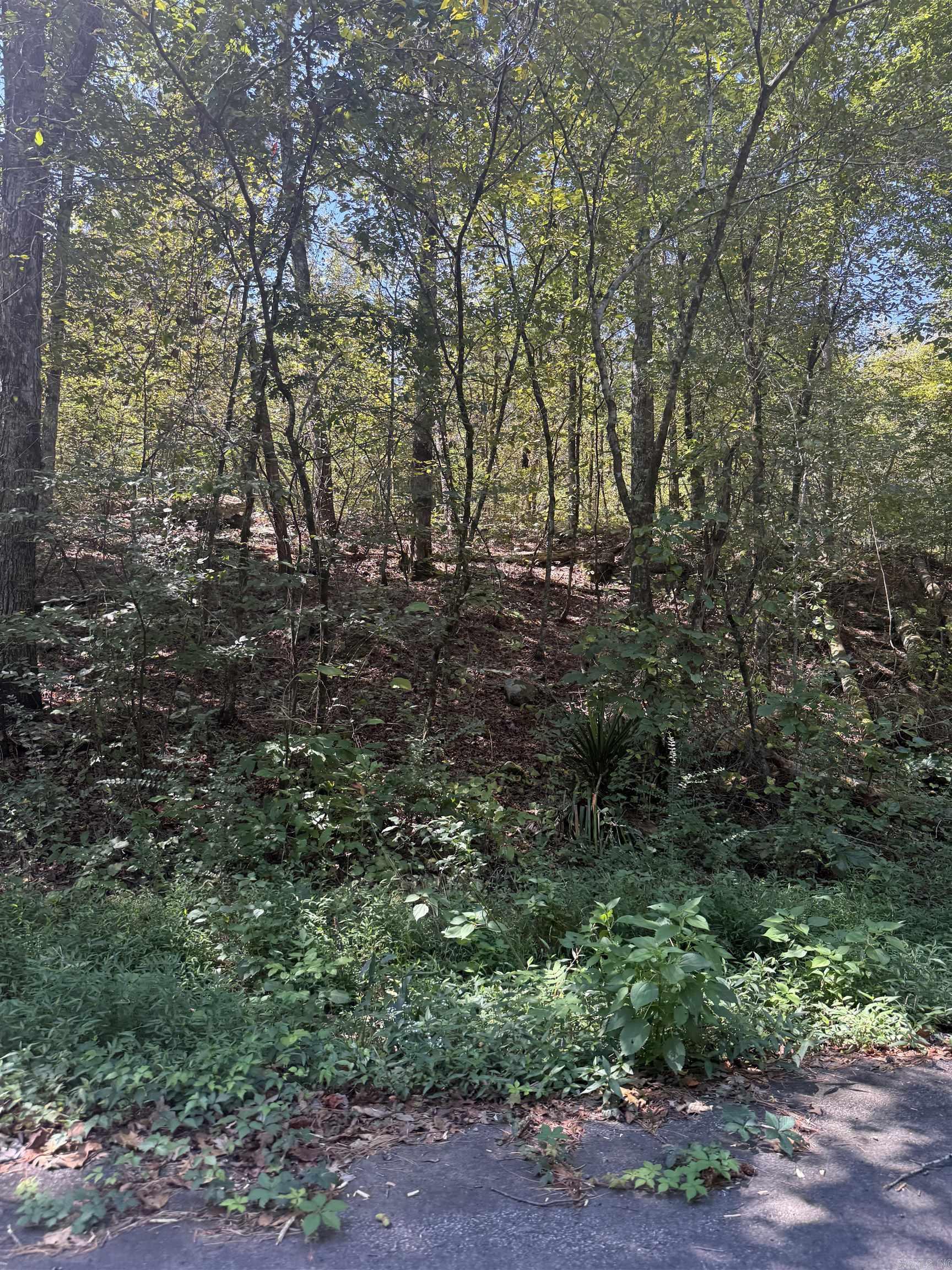804 Highway 95 Property Photo 13