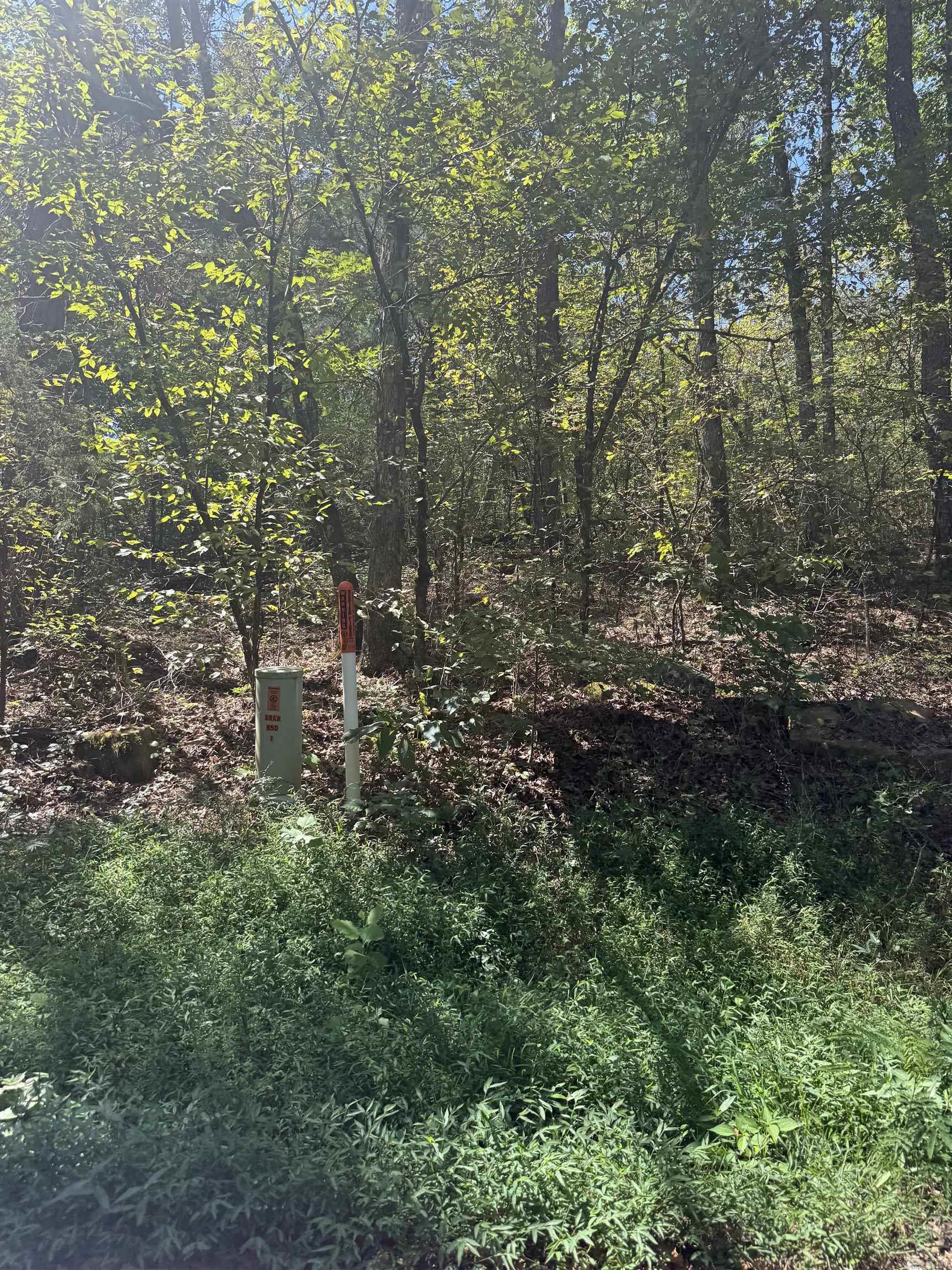 804 Highway 95 Property Photo 14