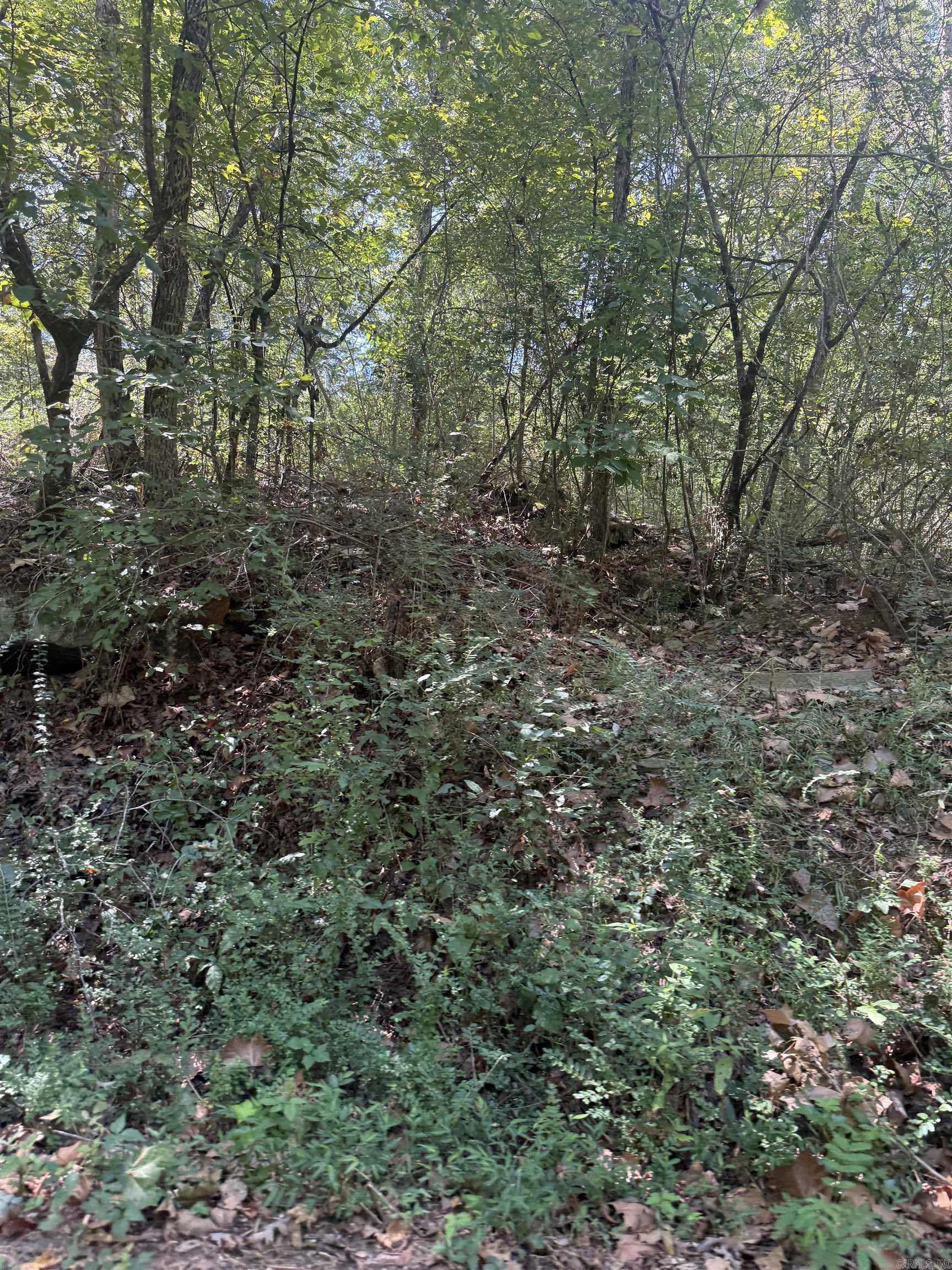 804 Highway 95 Property Photo 15