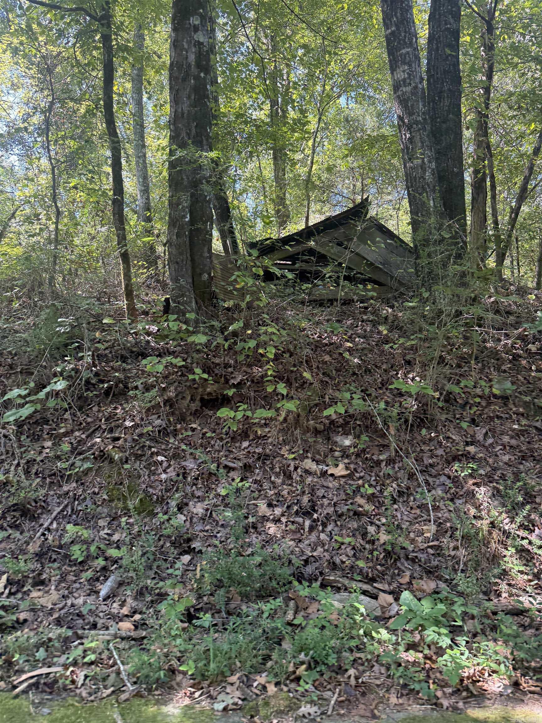 804 Highway 95 Property Photo 16