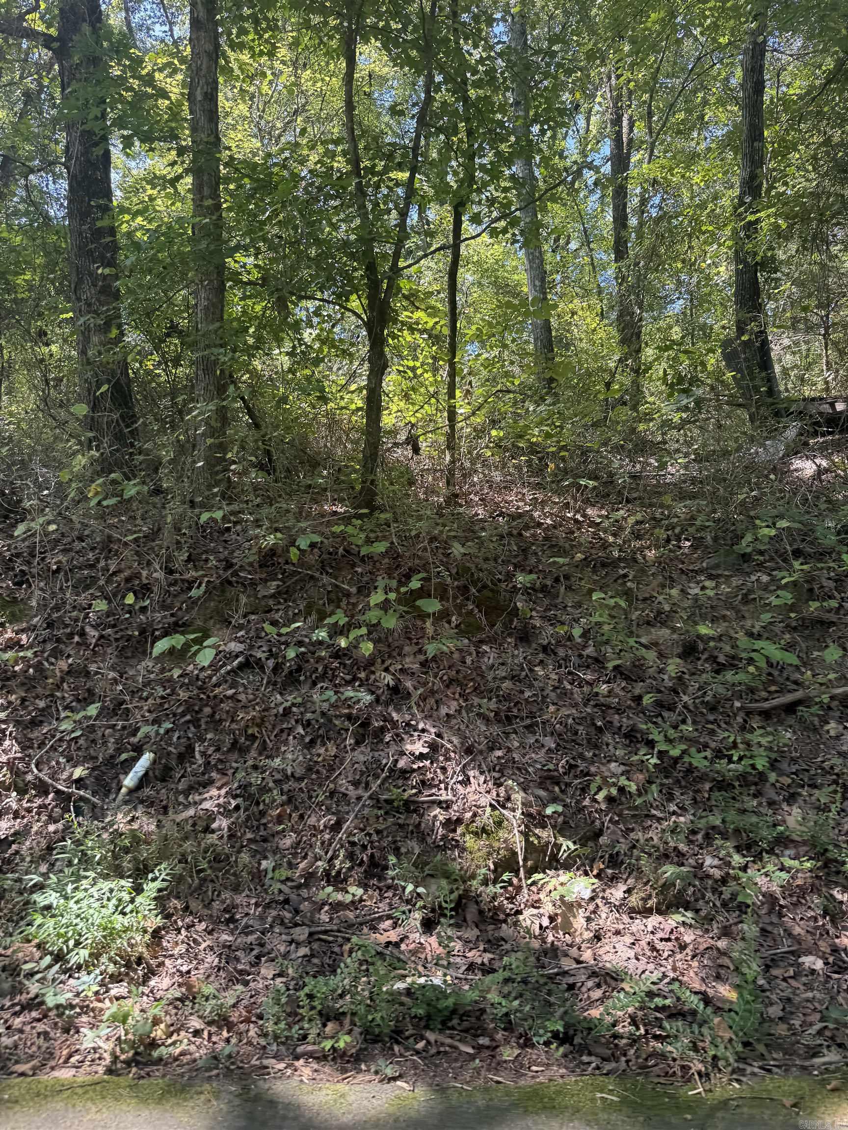 804 Highway 95 Property Photo 17