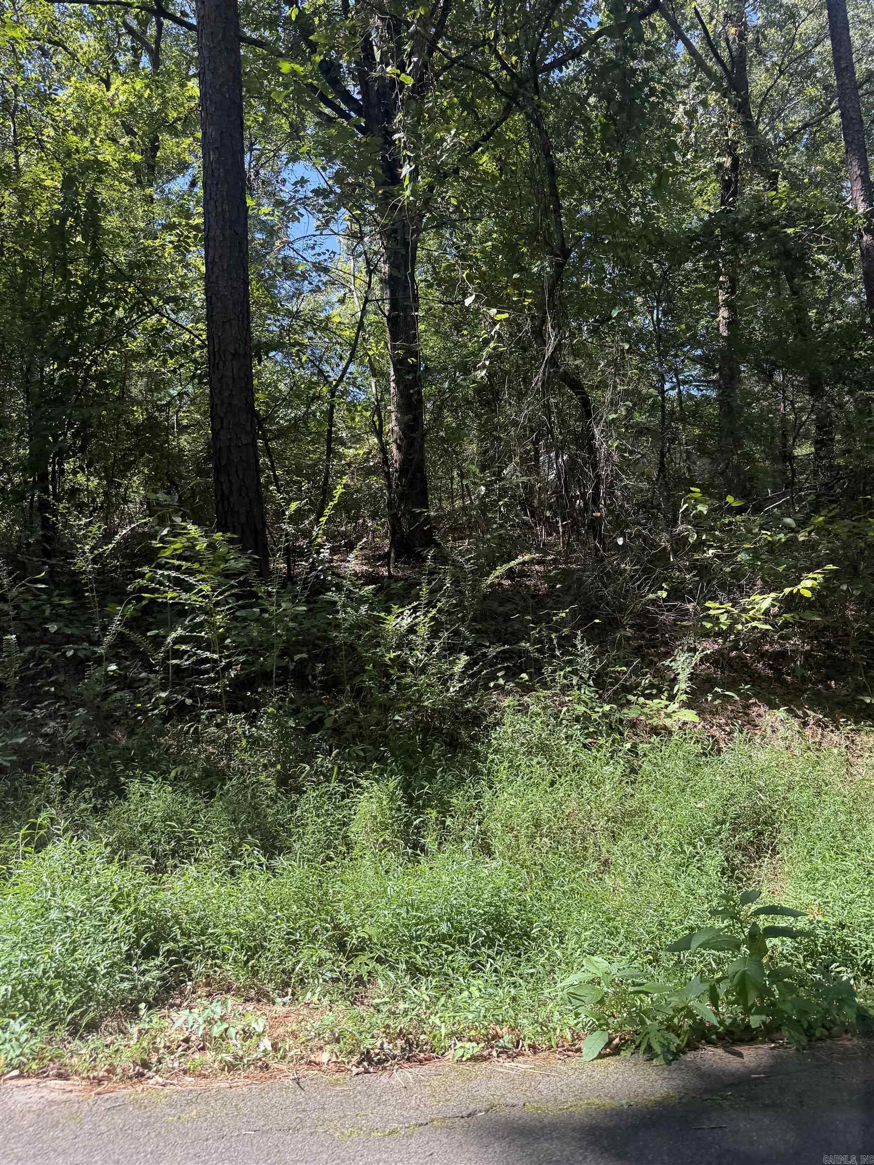 804 Highway 95 Property Photo 18