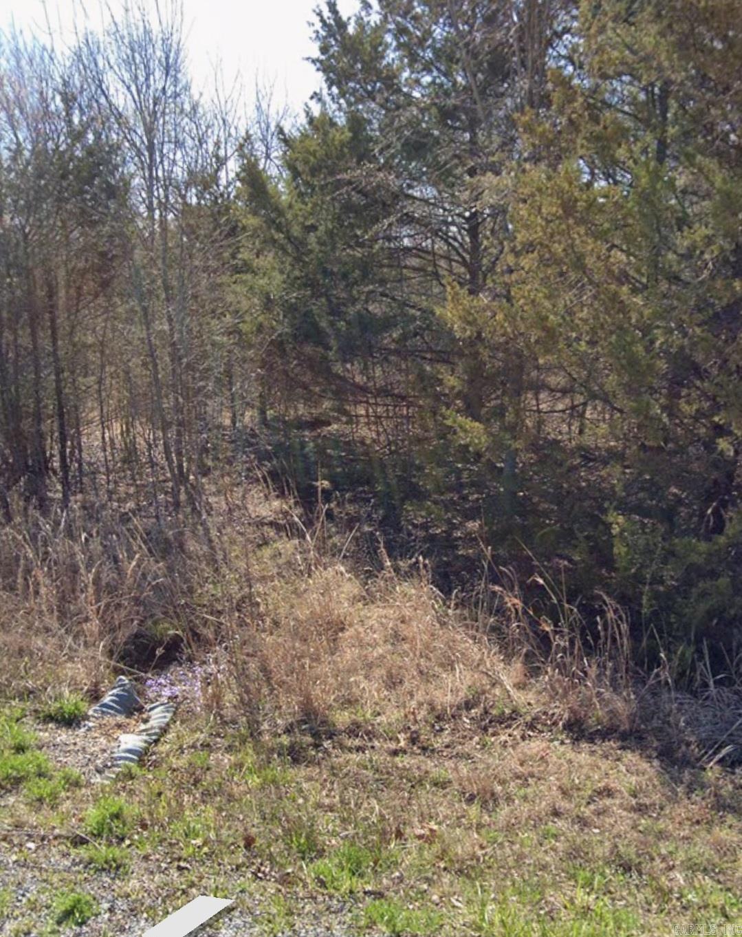 Lot 313-314 Arabian Drive Property Photo 6
