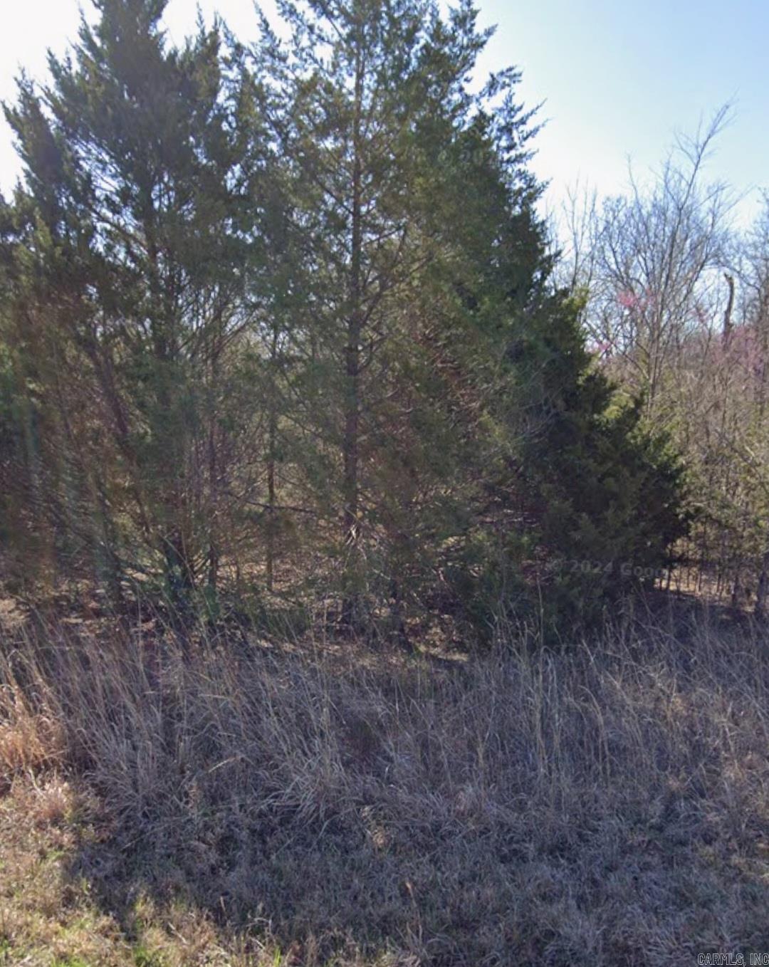 Lot 313-314 Arabian Drive Property Photo 7