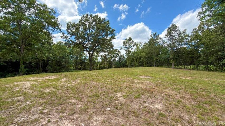 901 Sage Meadows Lane Property Photo 4