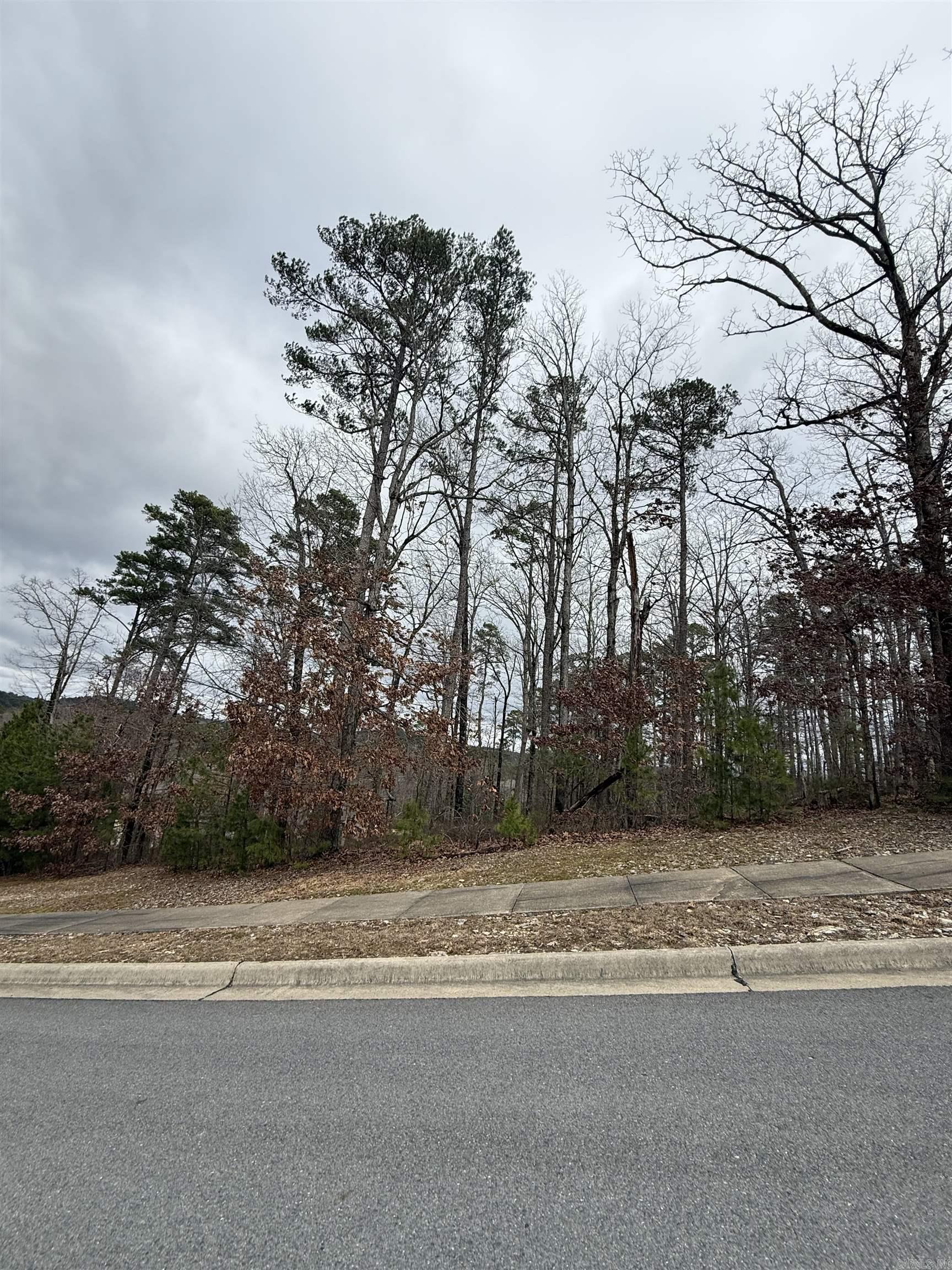 11 Accadia Ct Property Photo 1
