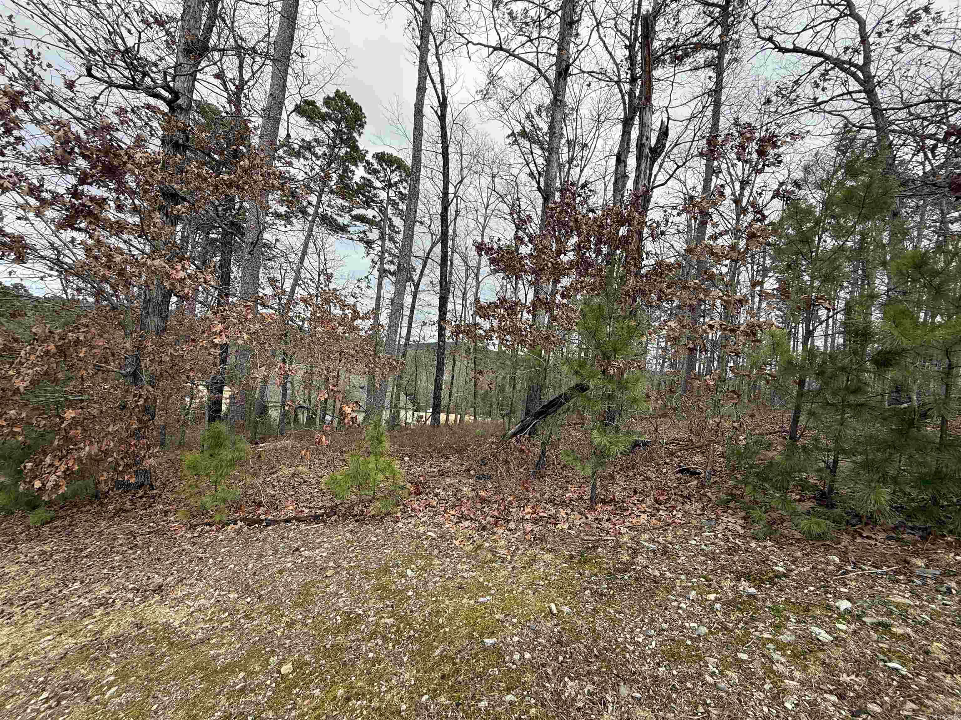 11 Accadia Ct Property Photo 3