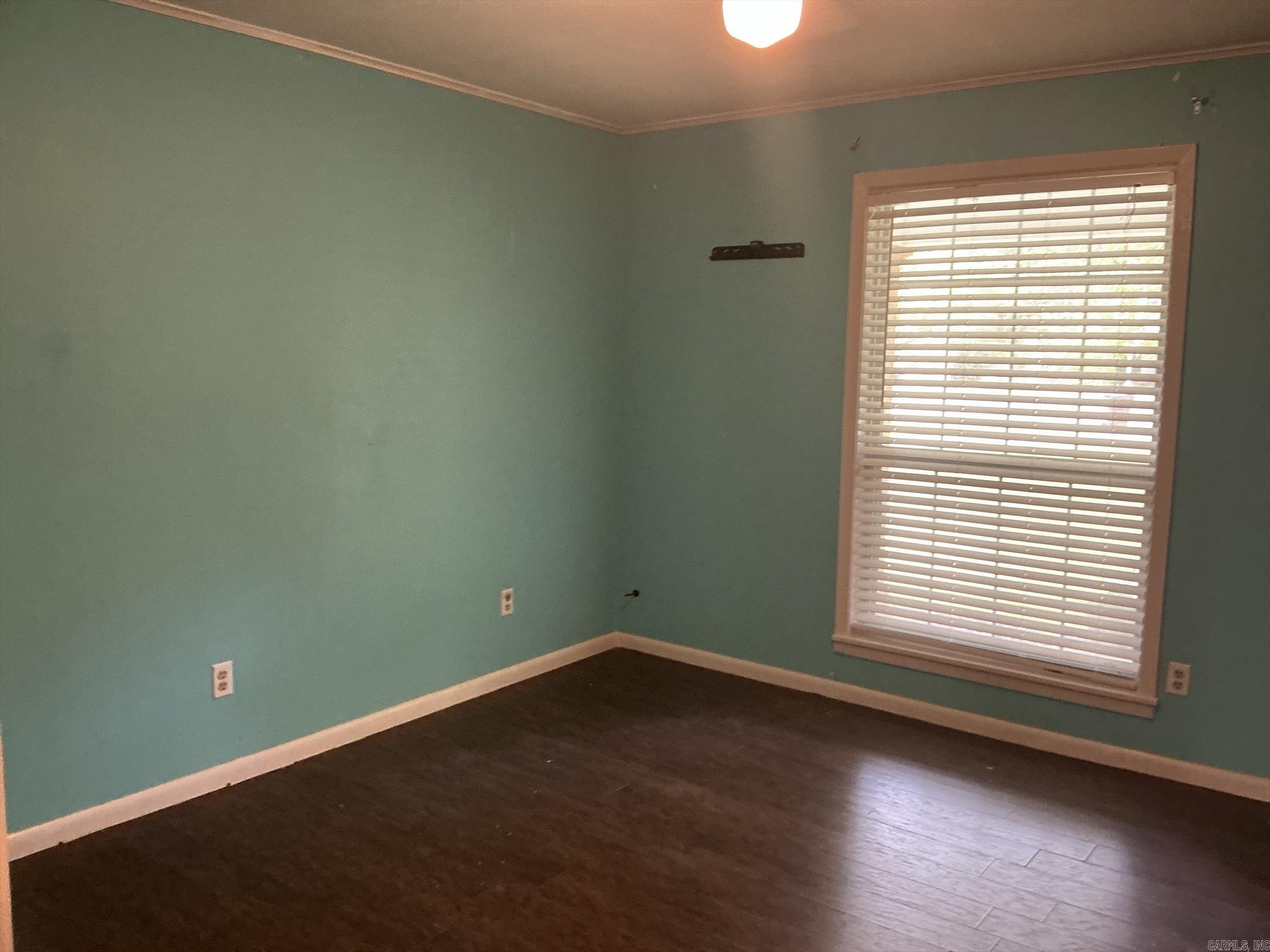 1005 Walnut Property Photo 29