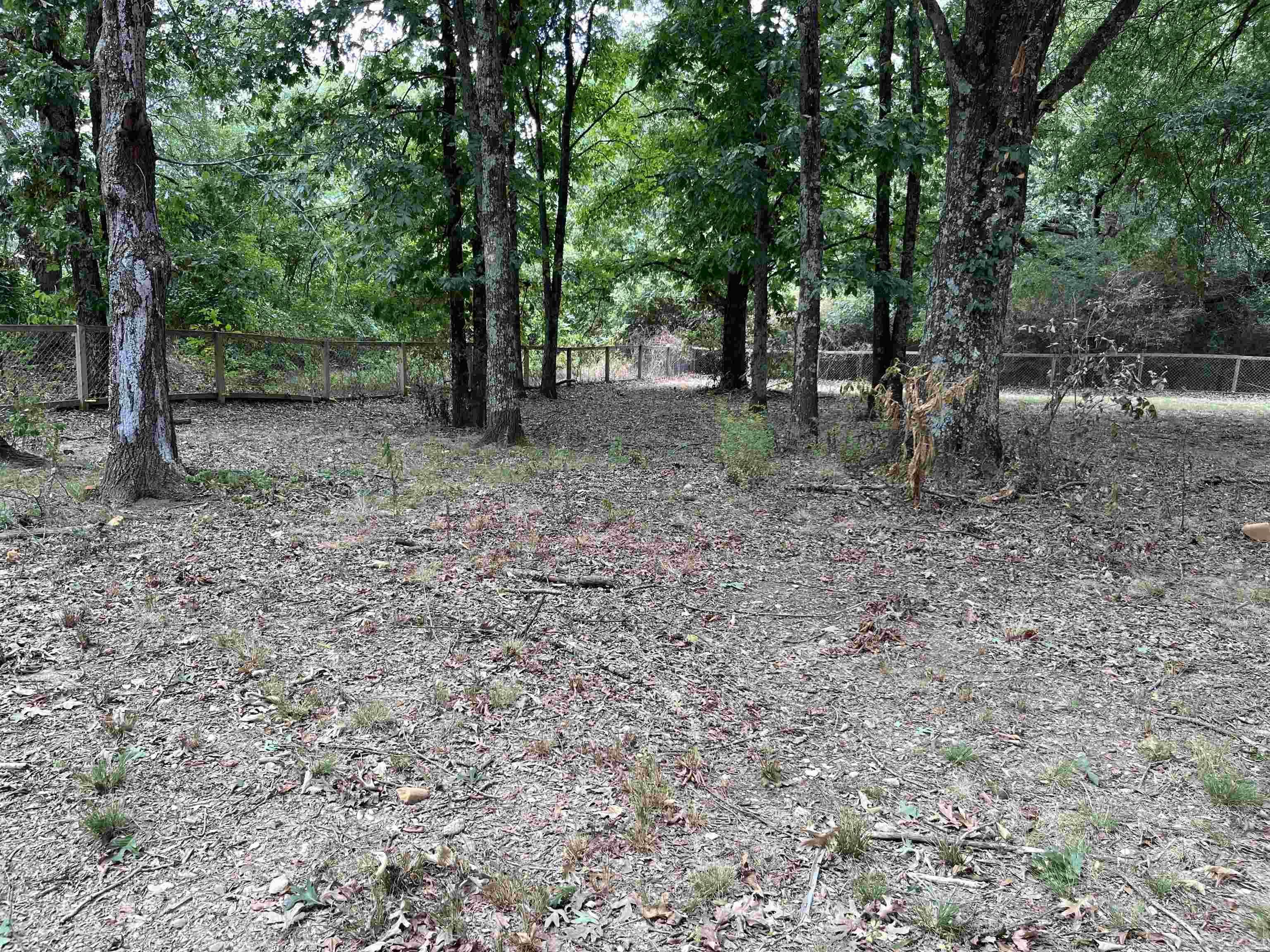494 Salem Church Road Property Photo 43