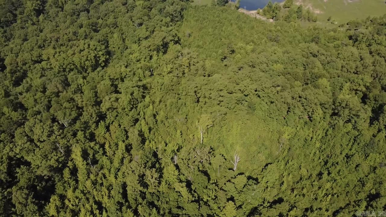 43 Hughbanks Hollow Property Photo 3
